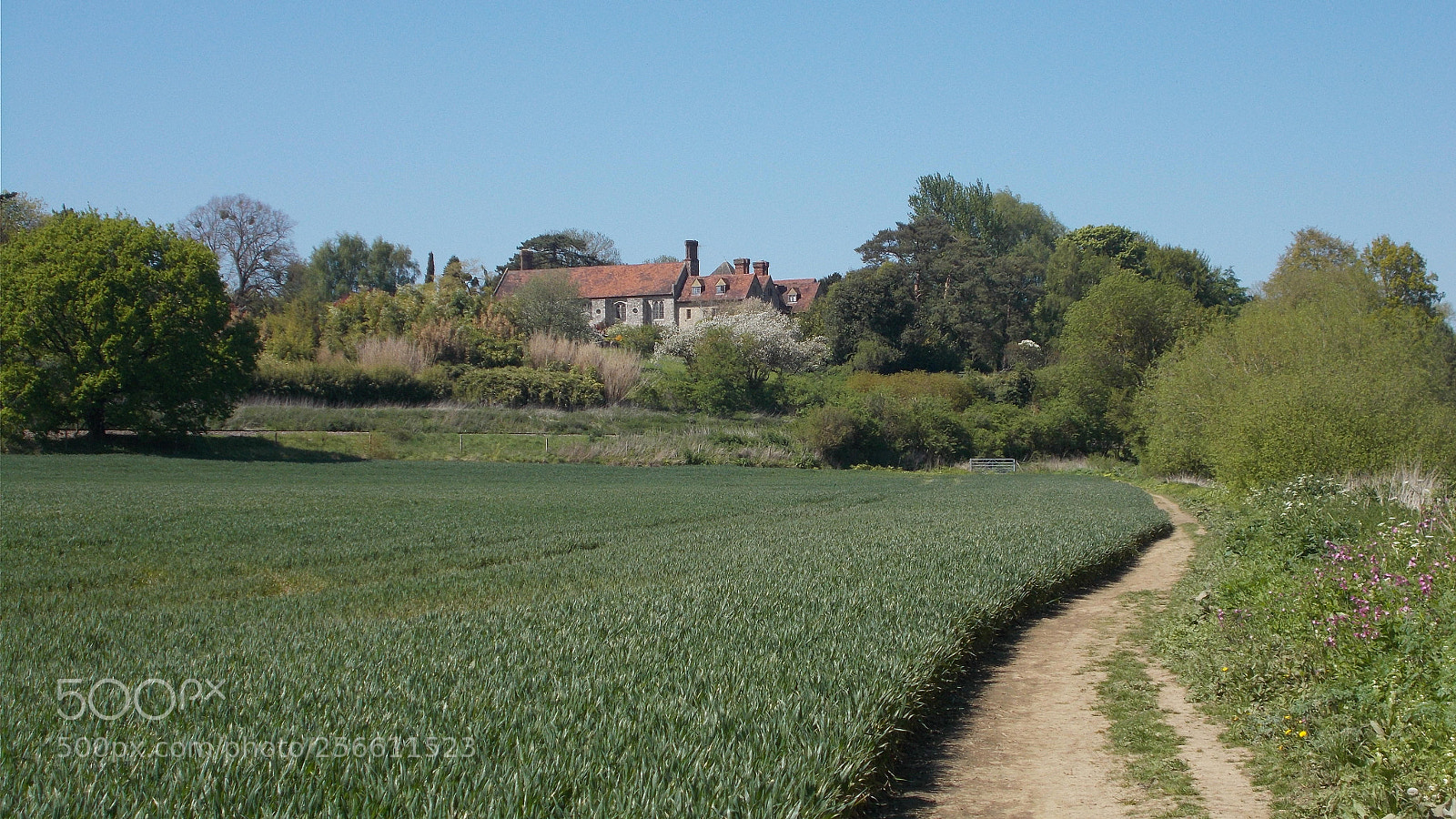 Nikon Coolpix L31 sample photo. House on the hill photography