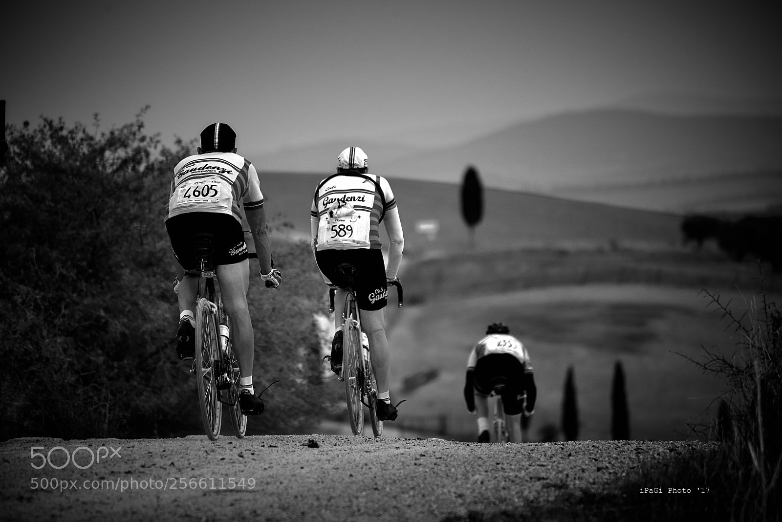 Nikon D750 sample photo. Eroica #1 photography