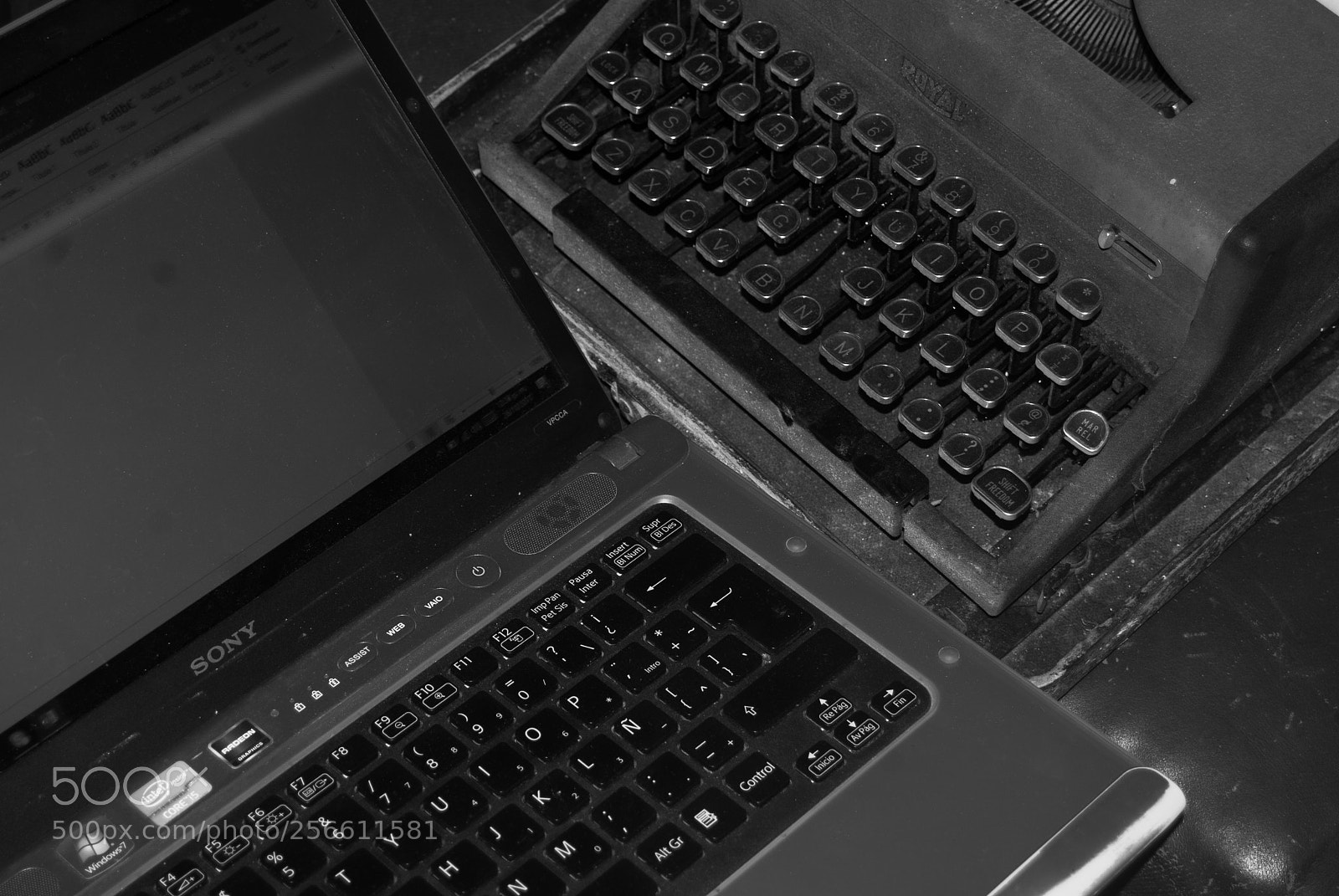 Nikon D40X sample photo. Evolution and forgetting photography
