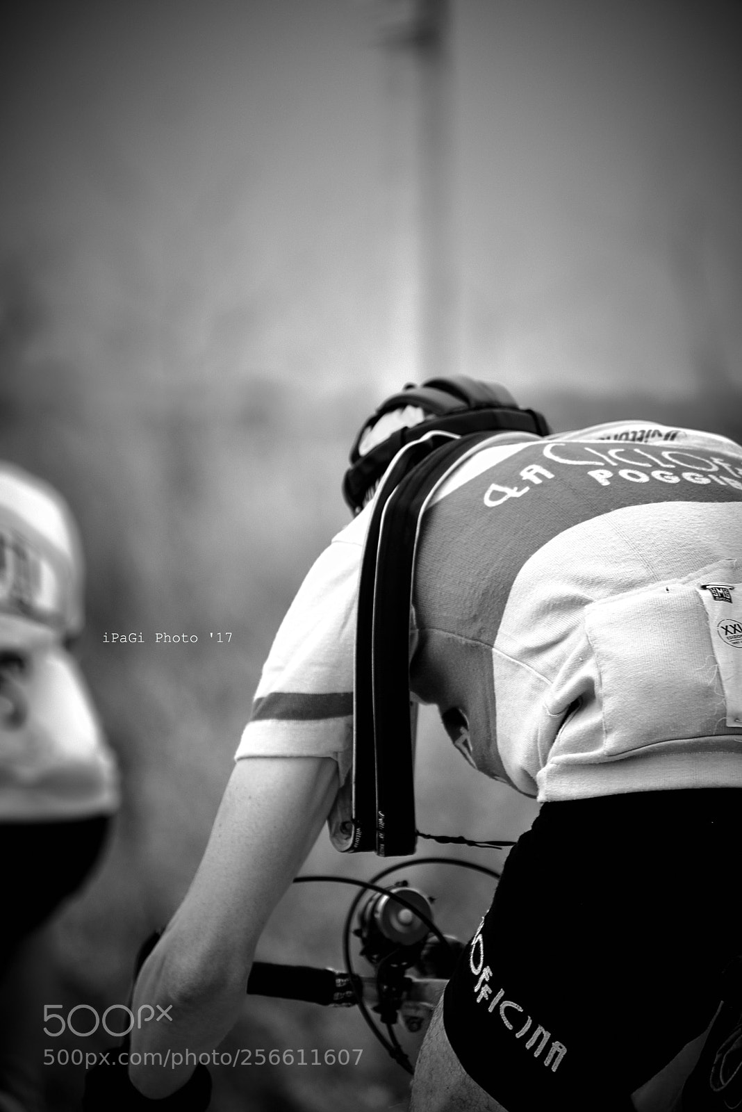 Nikon D750 sample photo. Eorica #2 photography