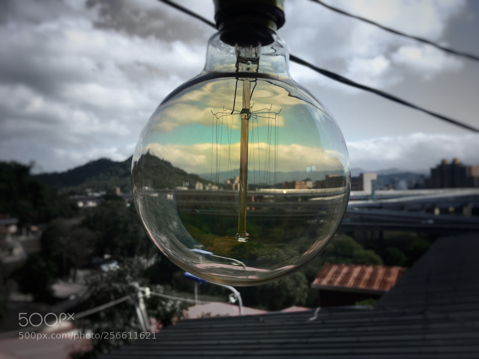 Apple iPhone 6s sample photo. Light  photography