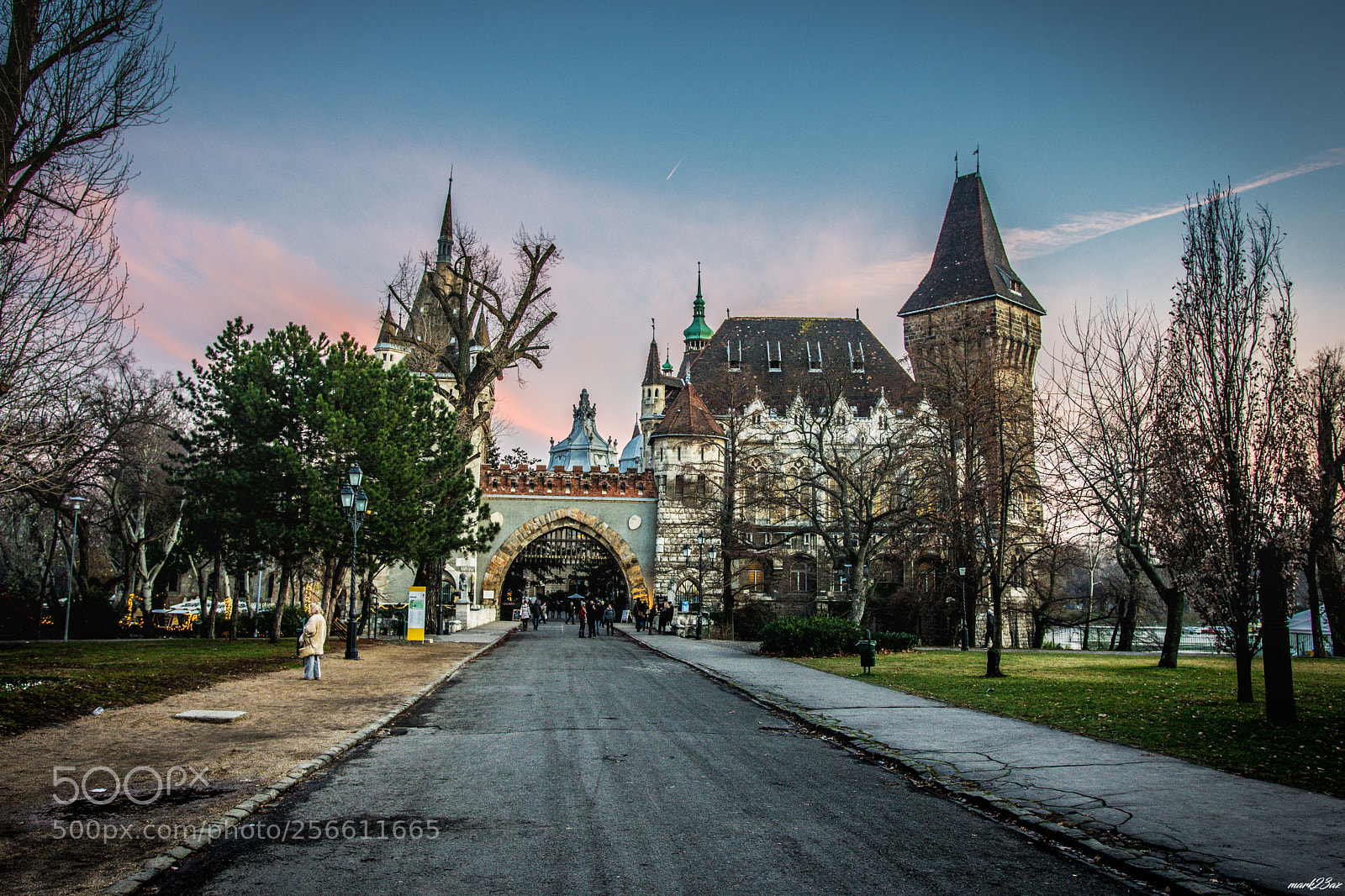 Nikon D7200 sample photo. Budapest municipio photography