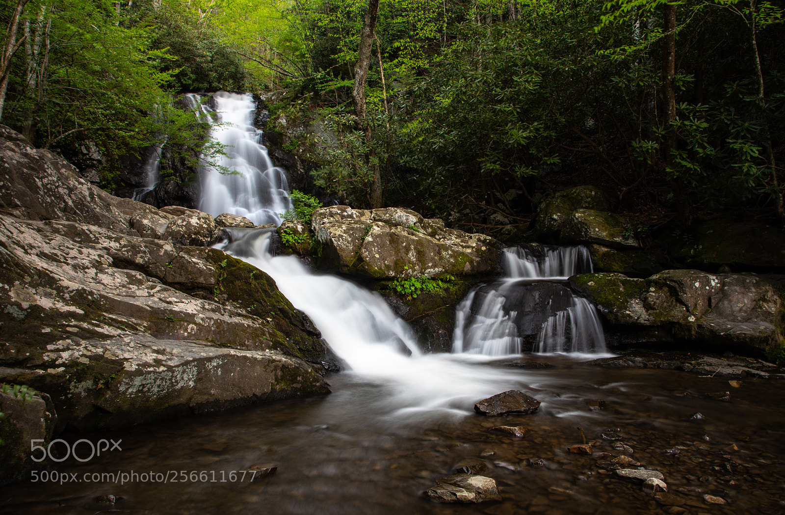Canon EOS 5D Mark IV sample photo. Spruce flats falls photography