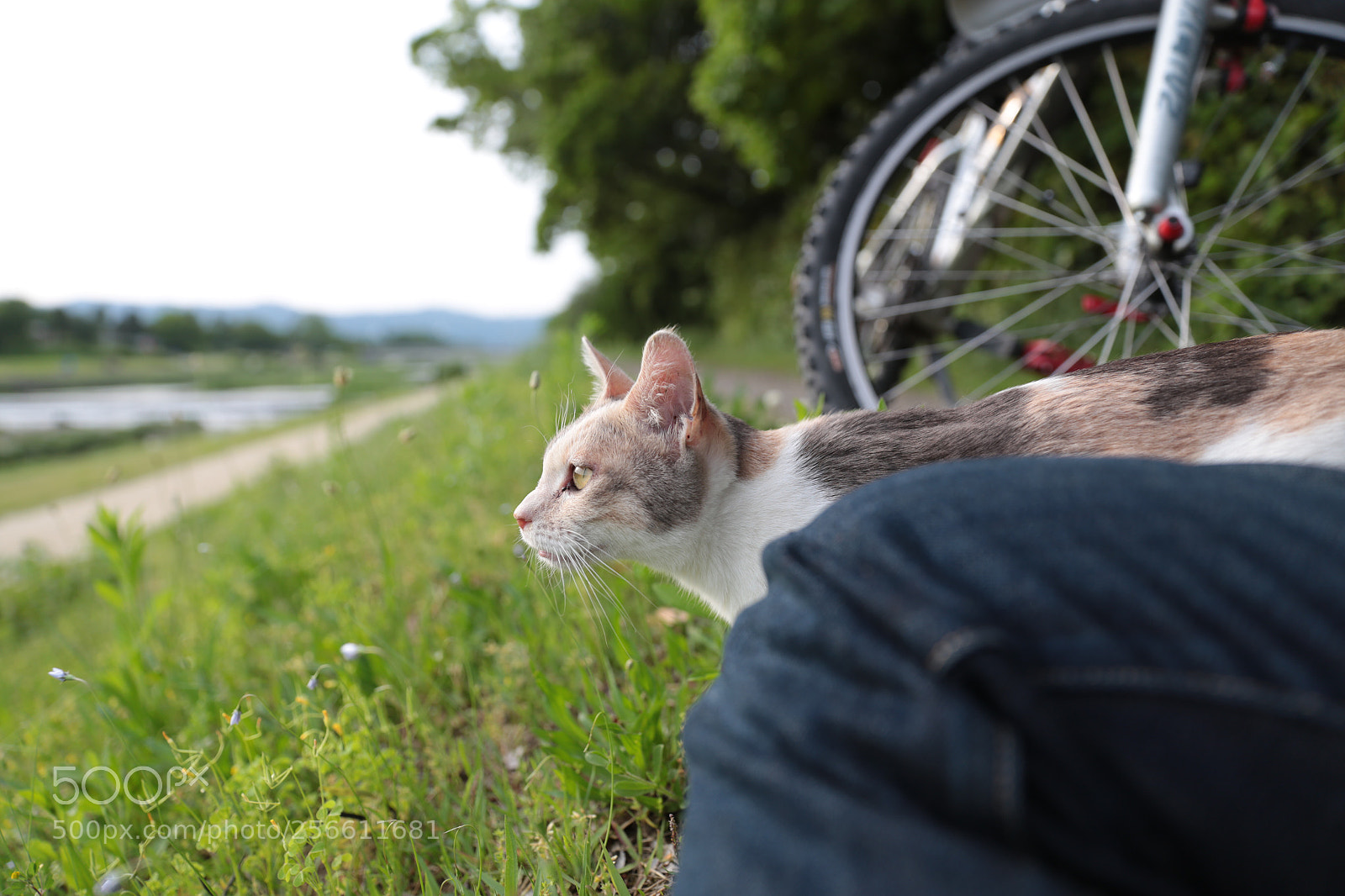 Canon EOS 6D sample photo. To go explorer photography