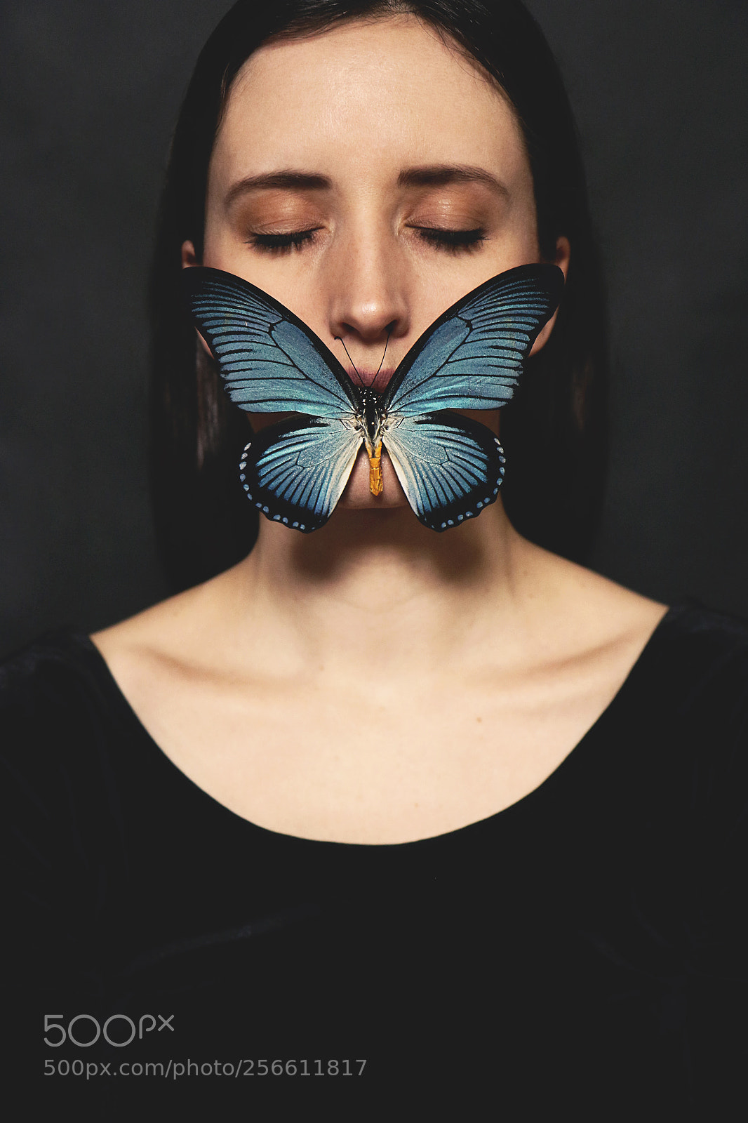Canon EOS 7D Mark II sample photo. Butterfly photography