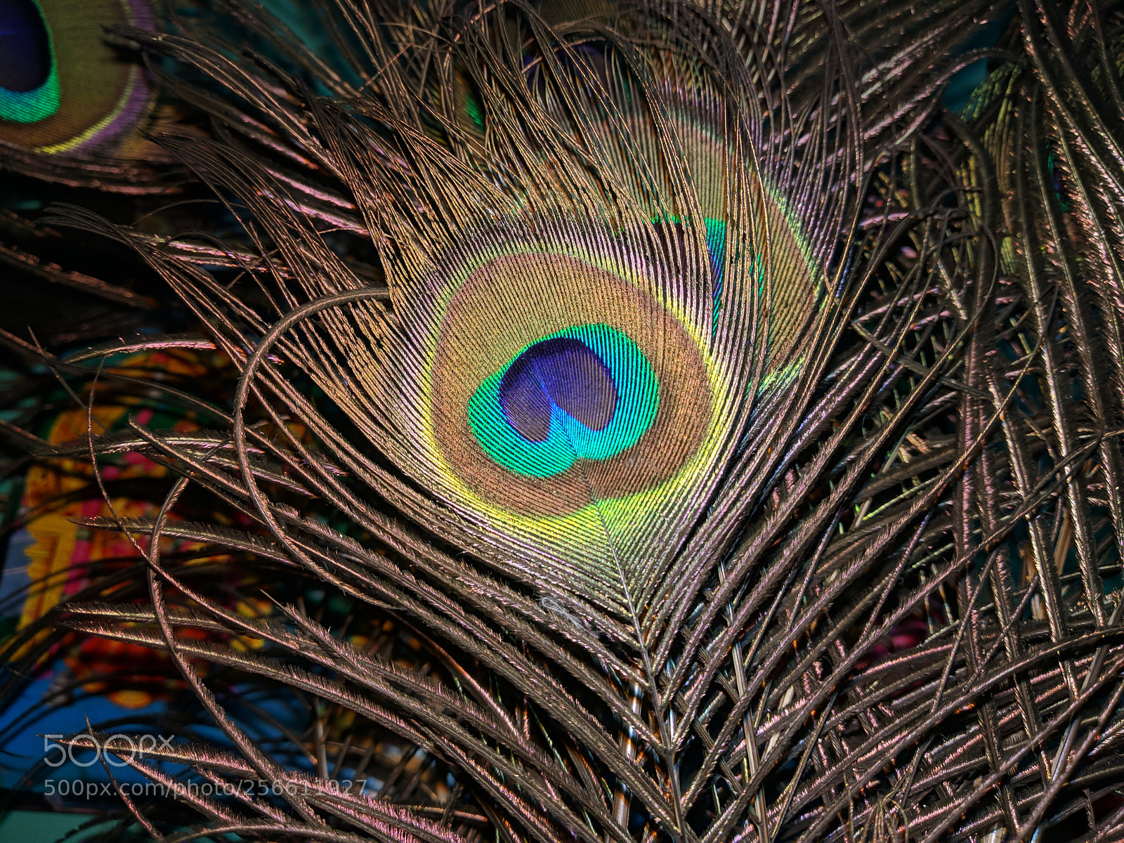 Xiaomi Mi A1 sample photo. Img_20180320_234311.jpg photography
