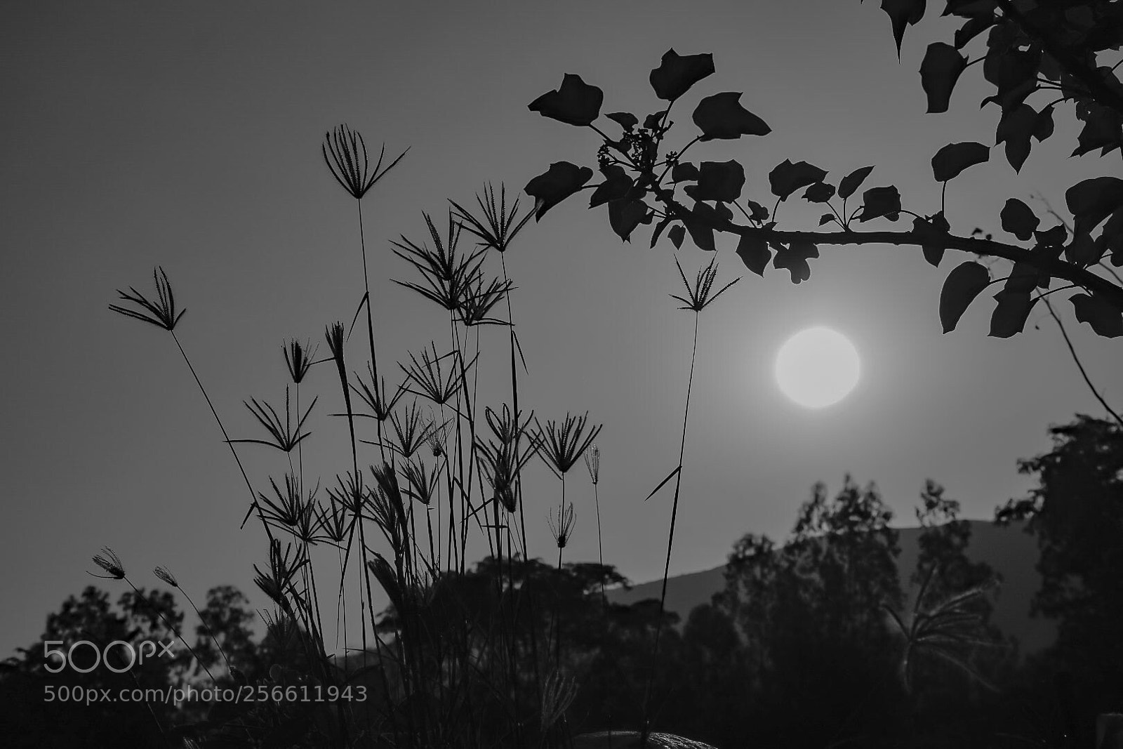 Nikon D5300 sample photo. A view of the photography