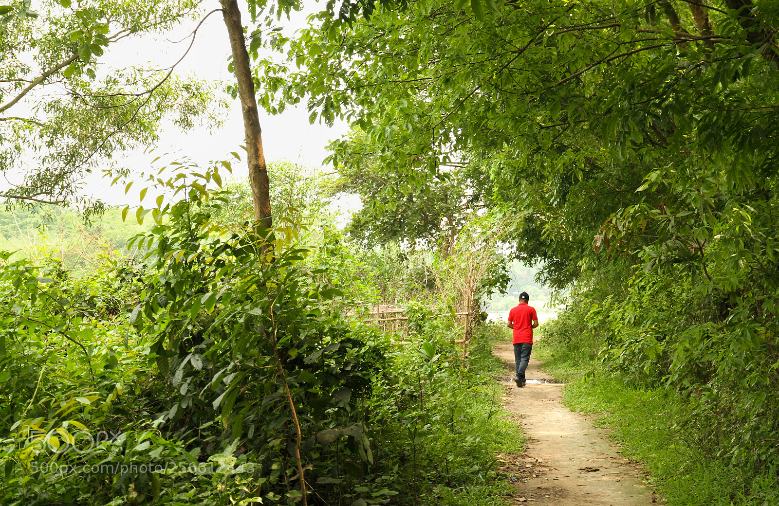Canon EOS 7D sample photo. Mrij7181.jpg photography