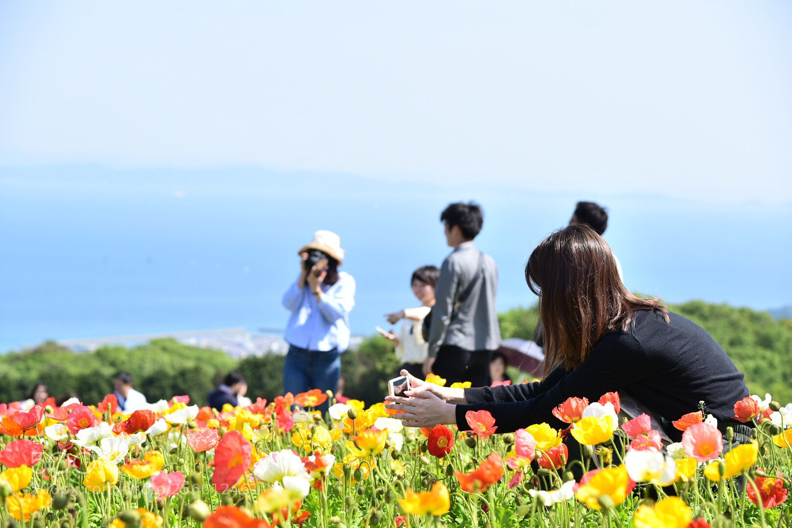 Nikon D750 sample photo. Untitled photography