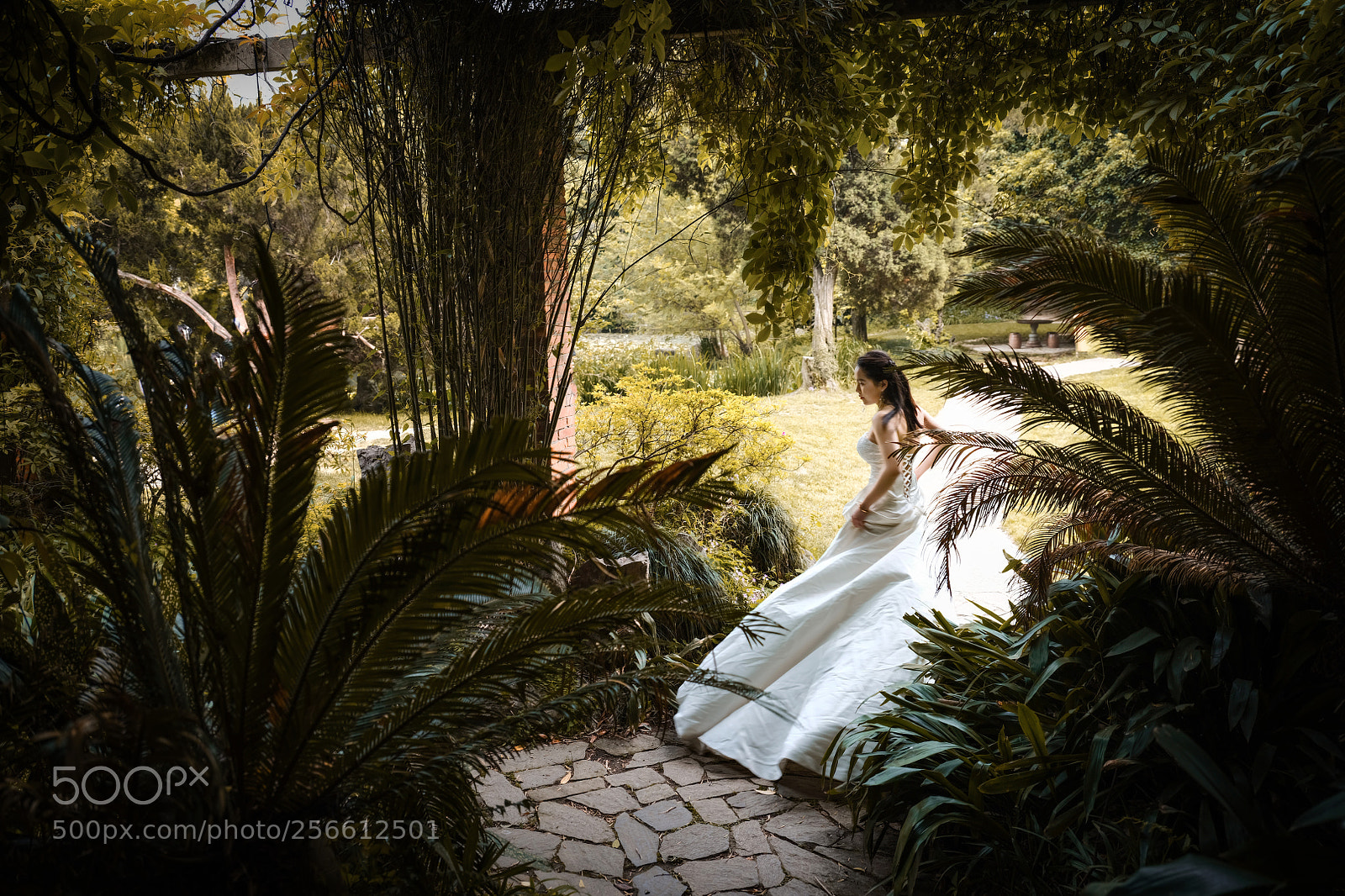 Fujifilm GFX 50S sample photo. Untitled photography