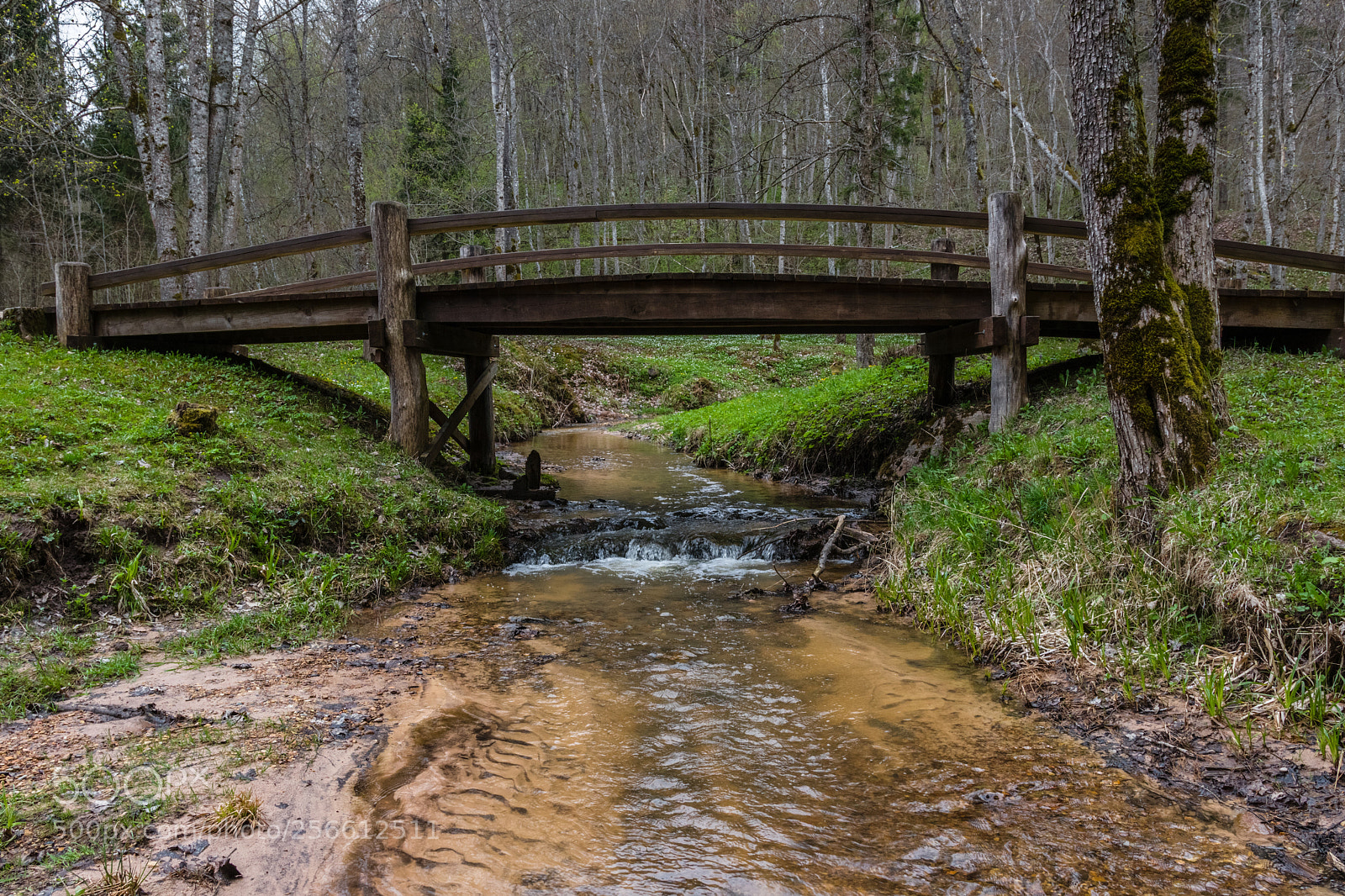 Canon EOS 80D sample photo. A small river with photography
