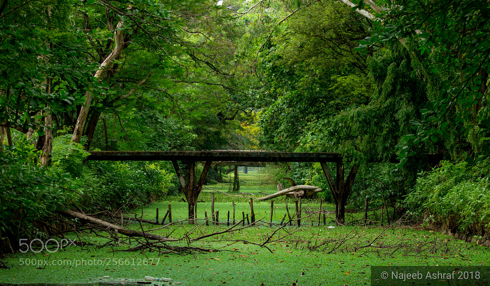 Nikon D3200 sample photo. Untitled photography