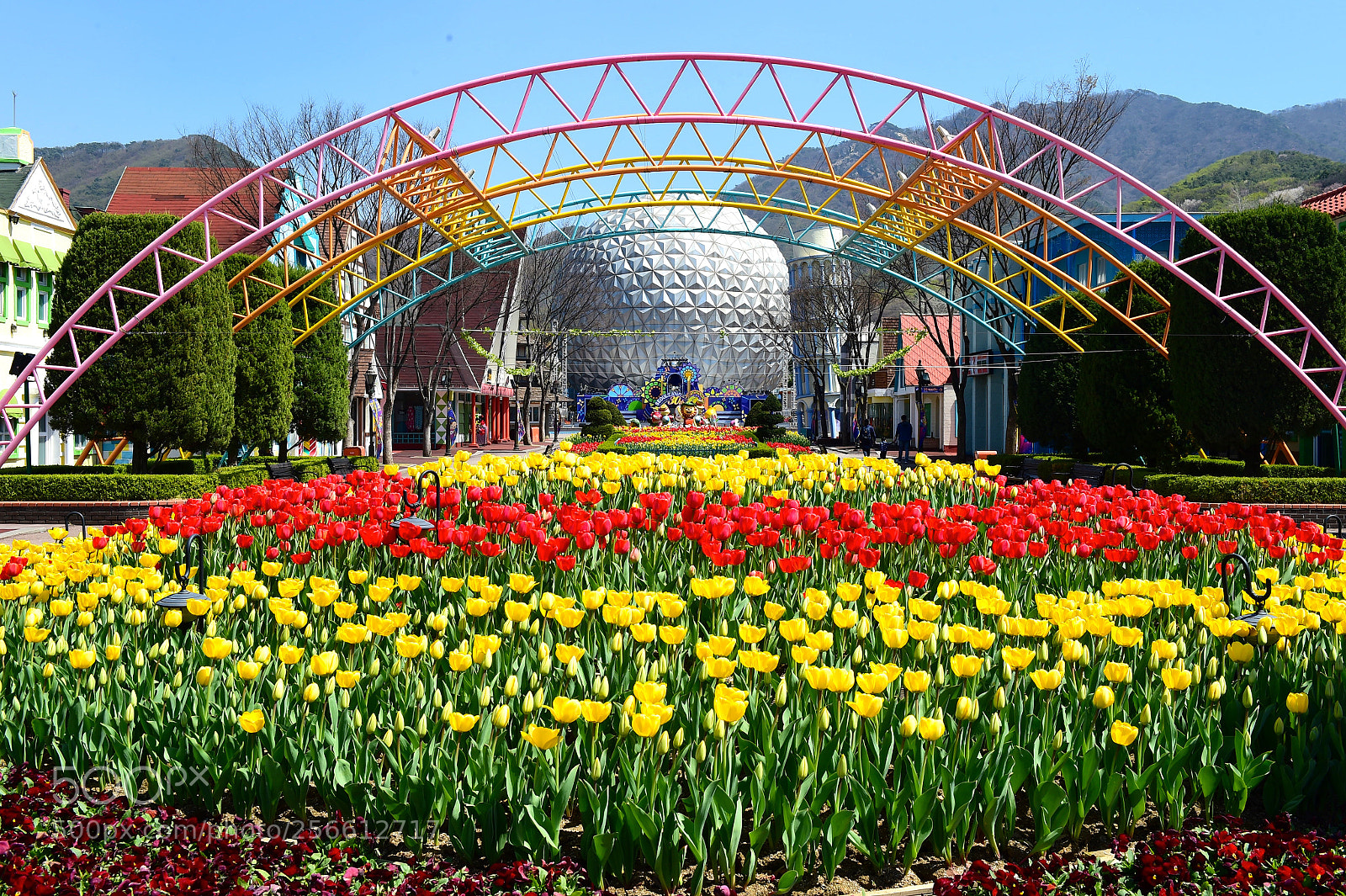 Nikon D4S sample photo. Colourful seoul land photography