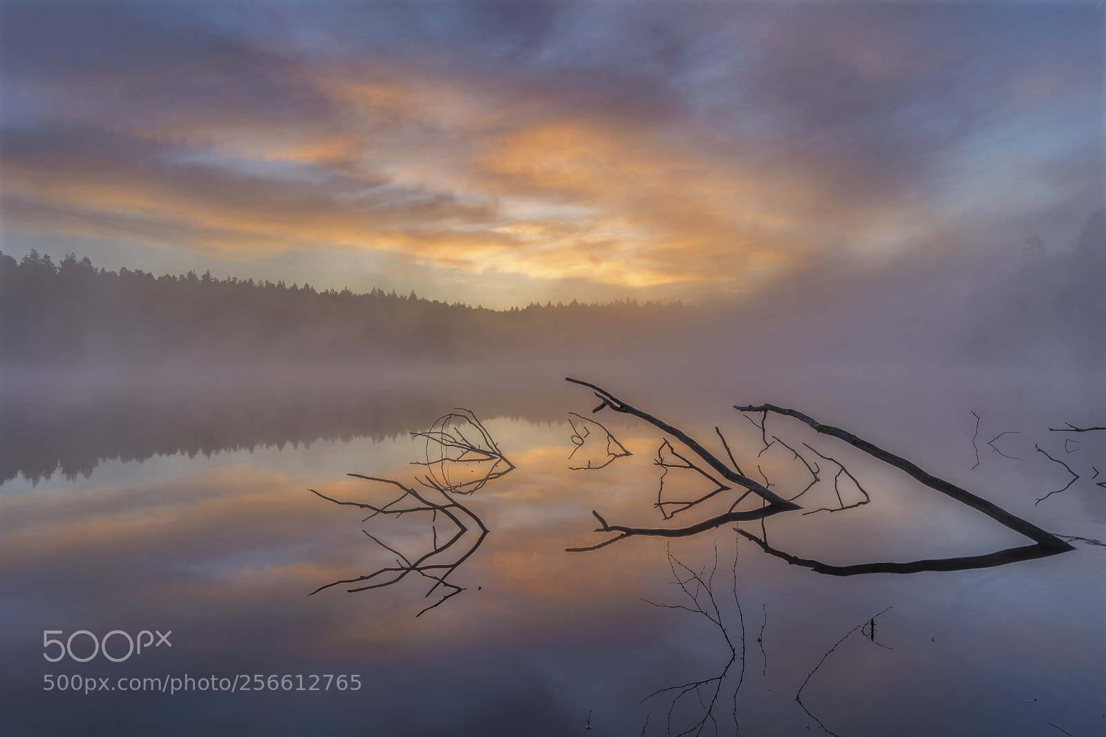 Nikon D5200 sample photo. Foggy sunrise photography
