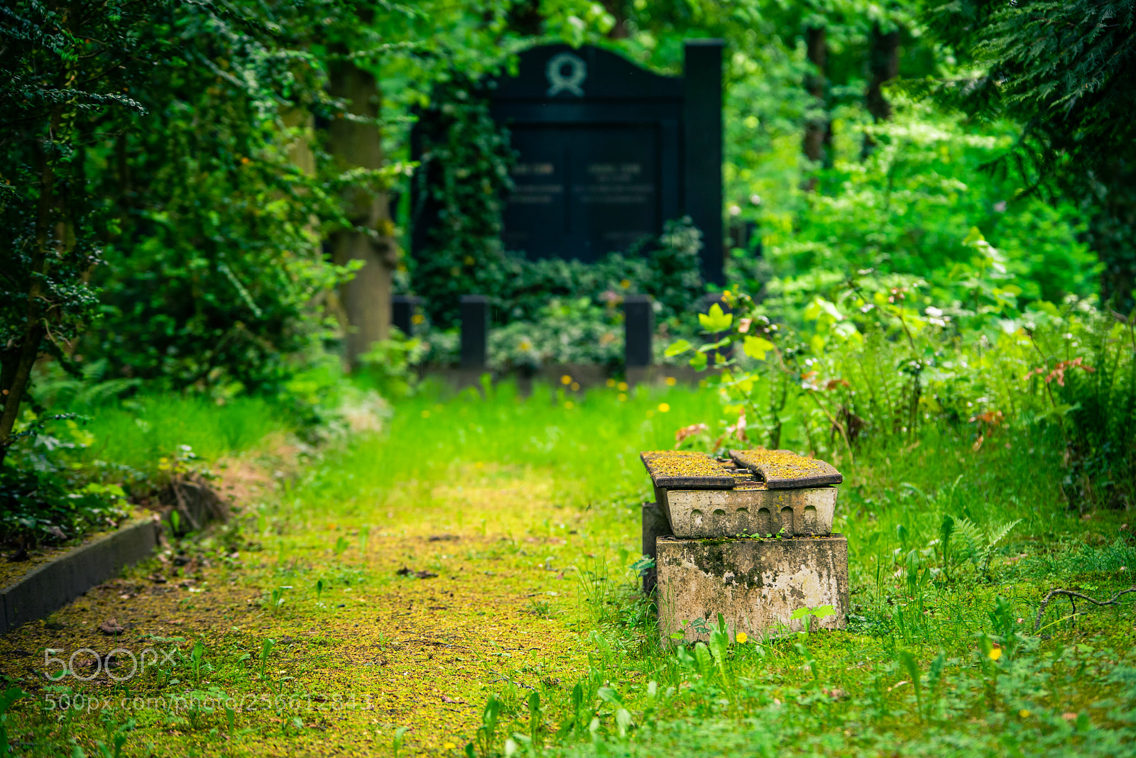 Nikon D750 sample photo. A silent place photography