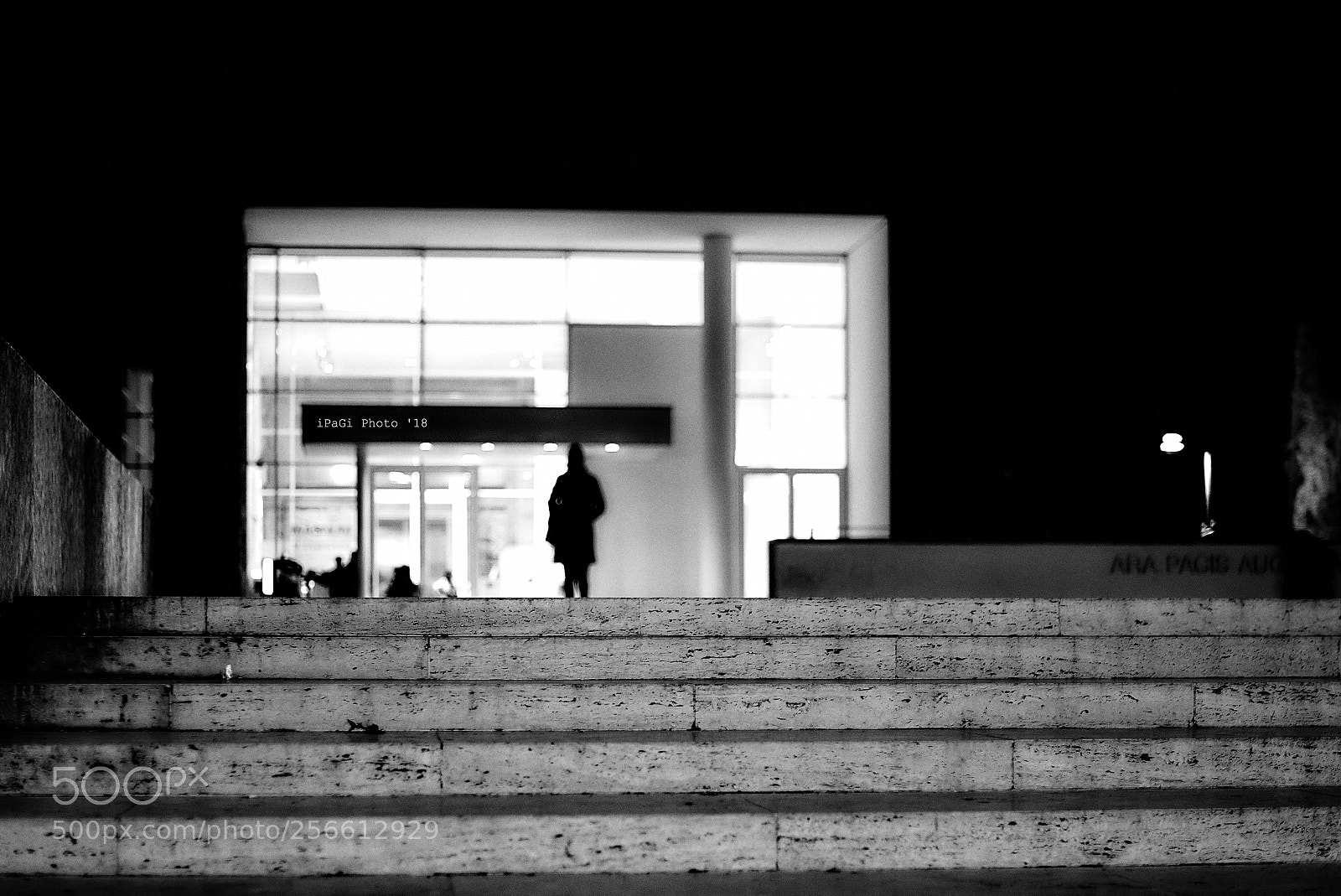 Nikon D750 sample photo. Ara pacis photography