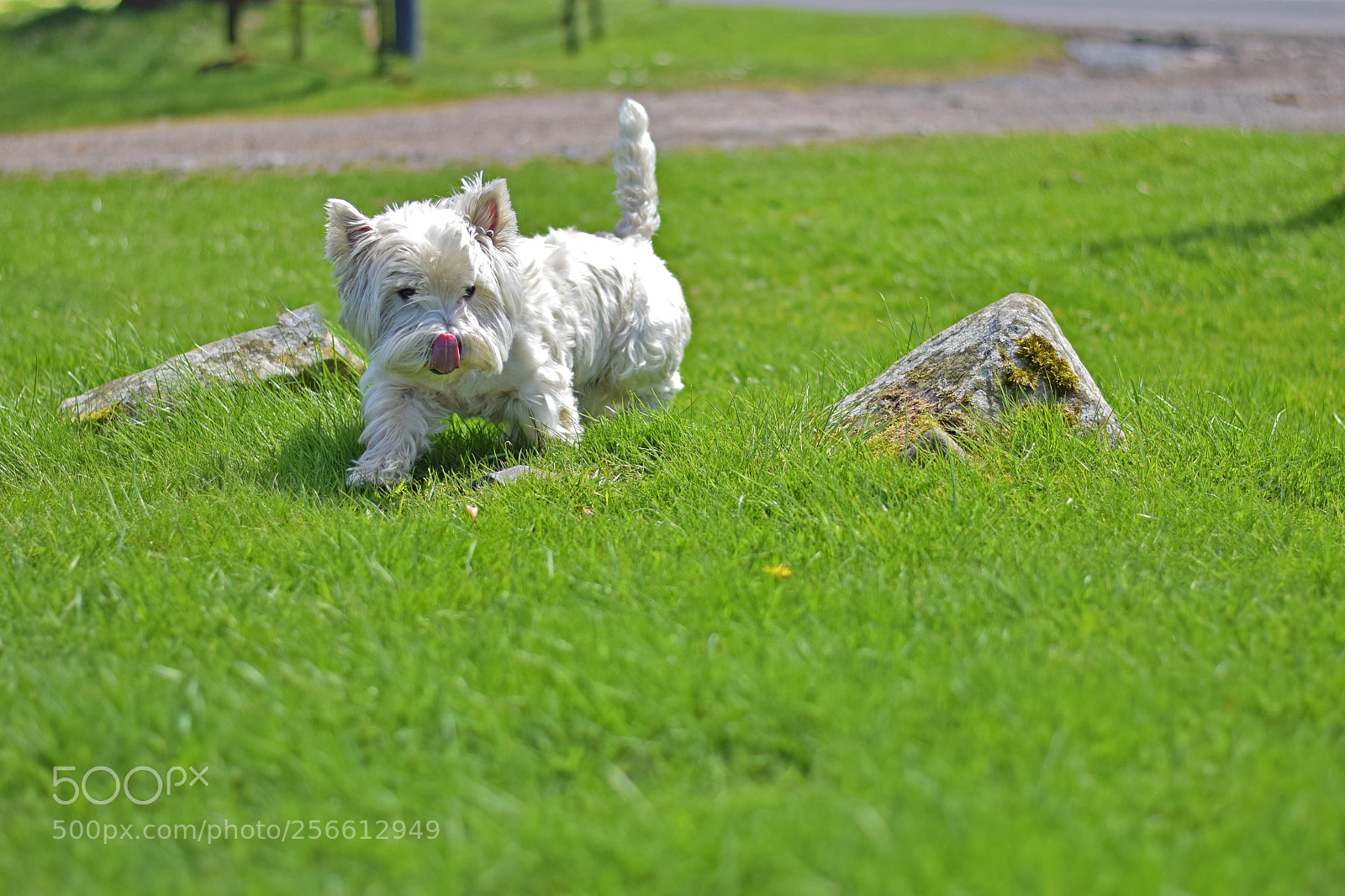 Nikon D5300 sample photo. Whats that? photography