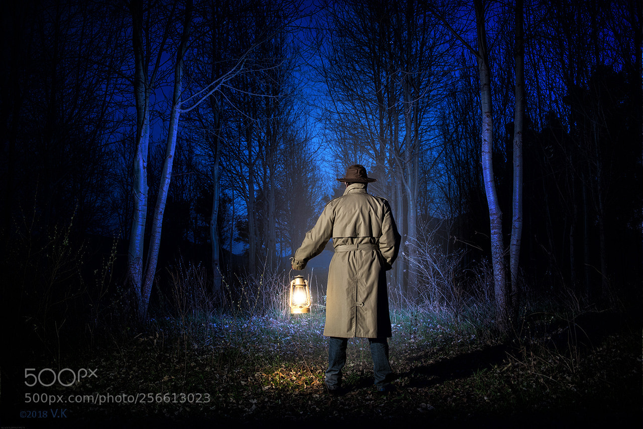 Nikon D750 sample photo. Twilight photography