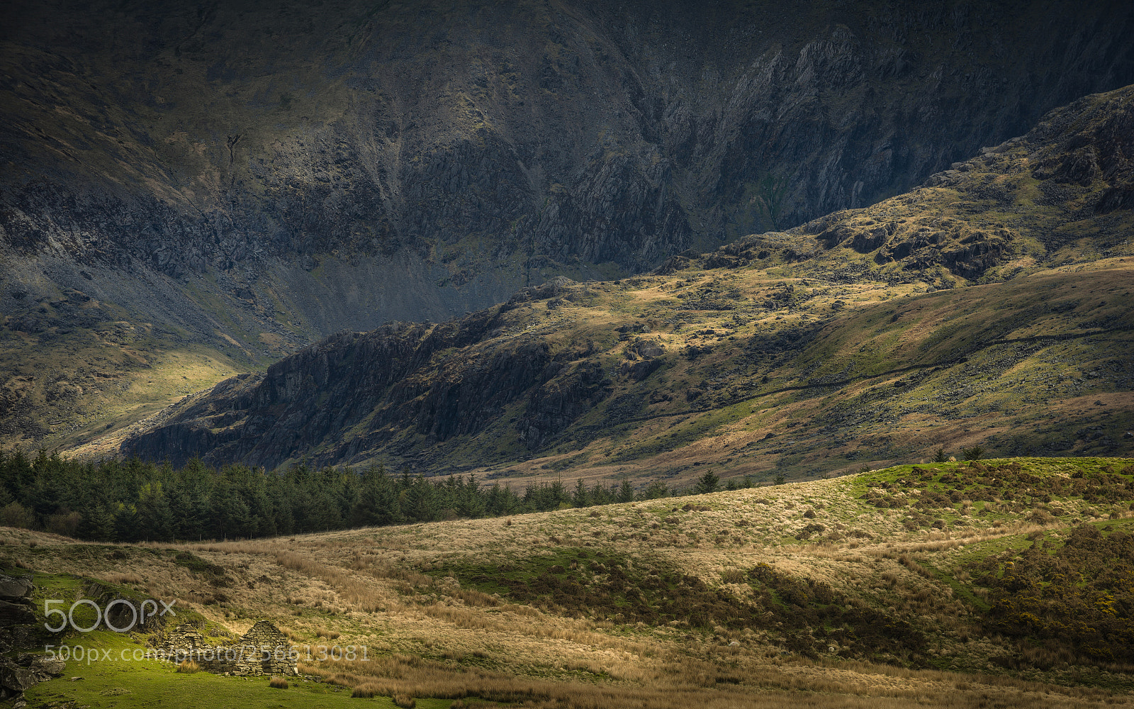 Nikon D800E sample photo. Welsh mountain scene in photography