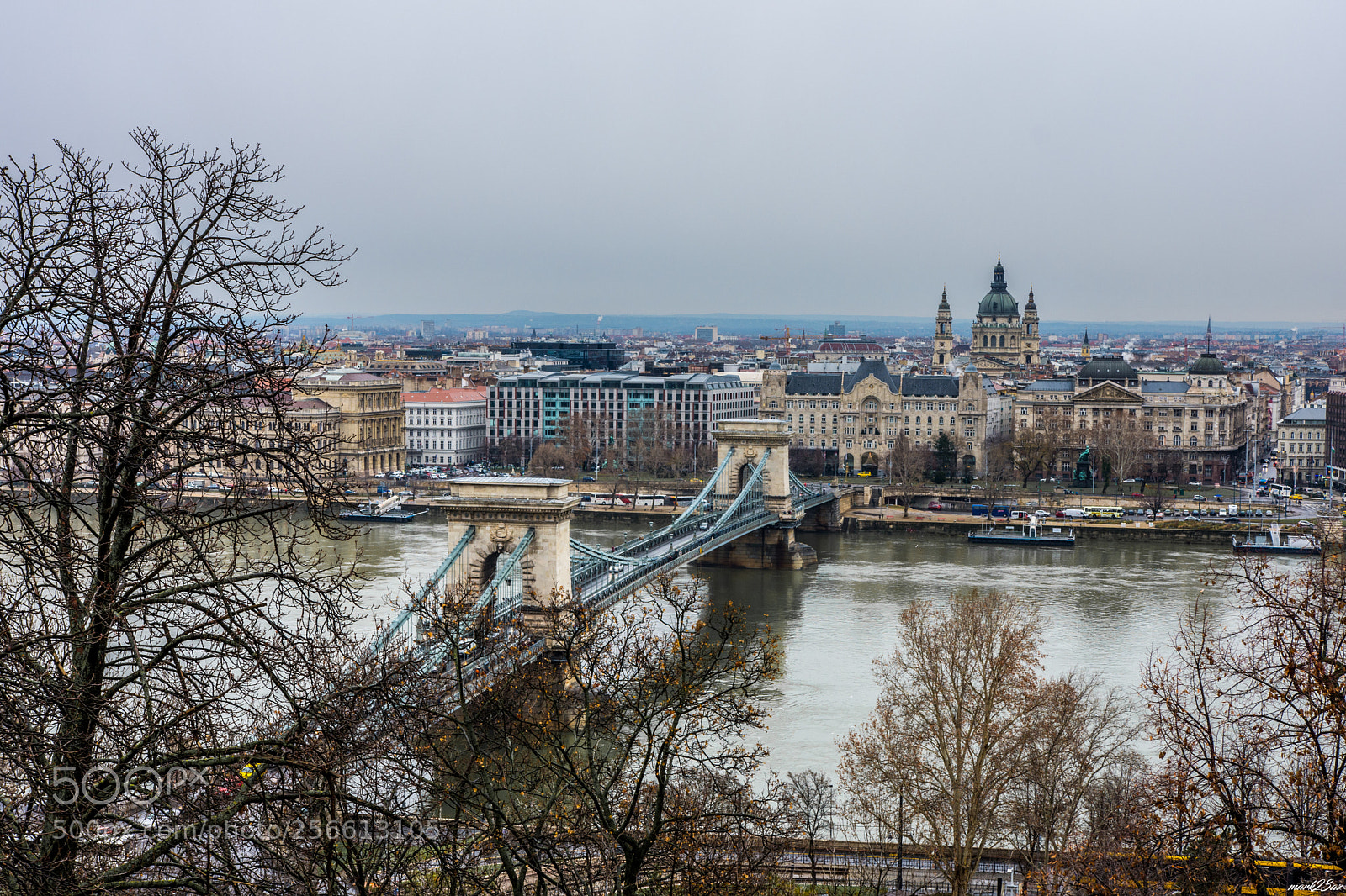 Nikon D7200 sample photo. Pest ponte photography