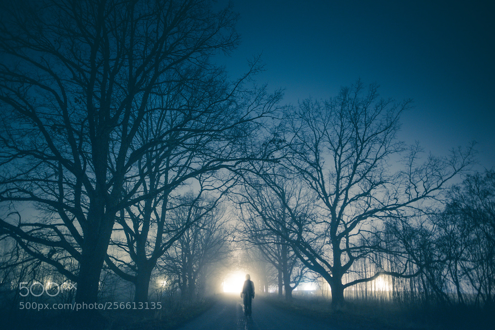 Nikon D610 sample photo. The dark alley photography