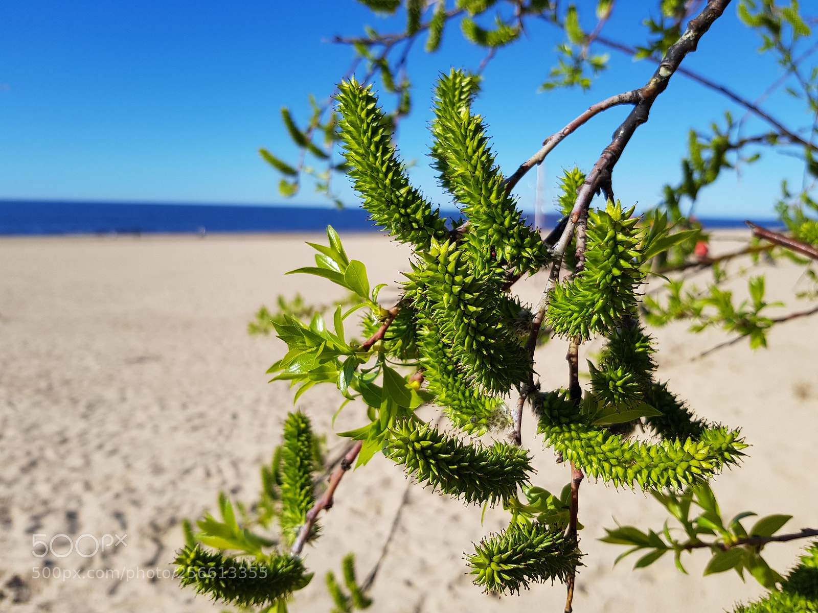 Samsung Galaxy S8 sample photo. Untitled photography