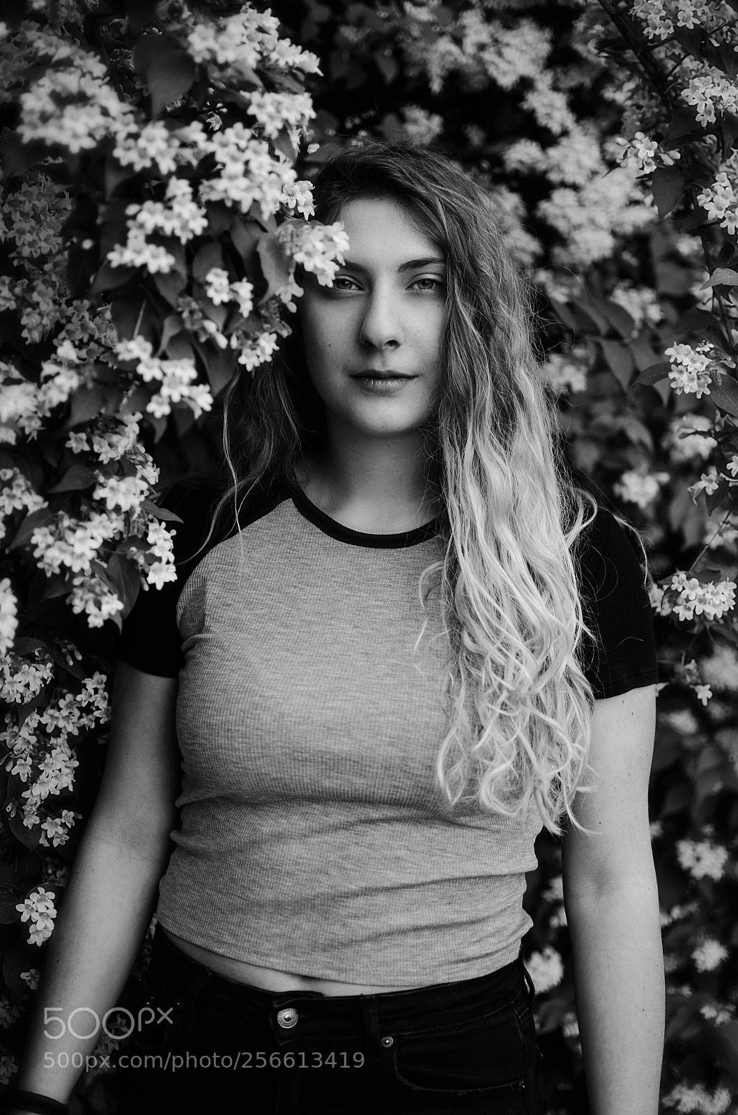 Nikon D5100 sample photo. Looking for the look photography