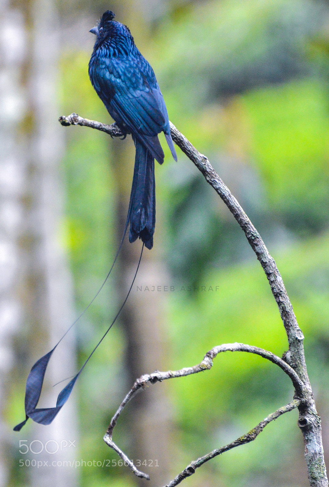 Nikon D3200 sample photo. Untitled photography