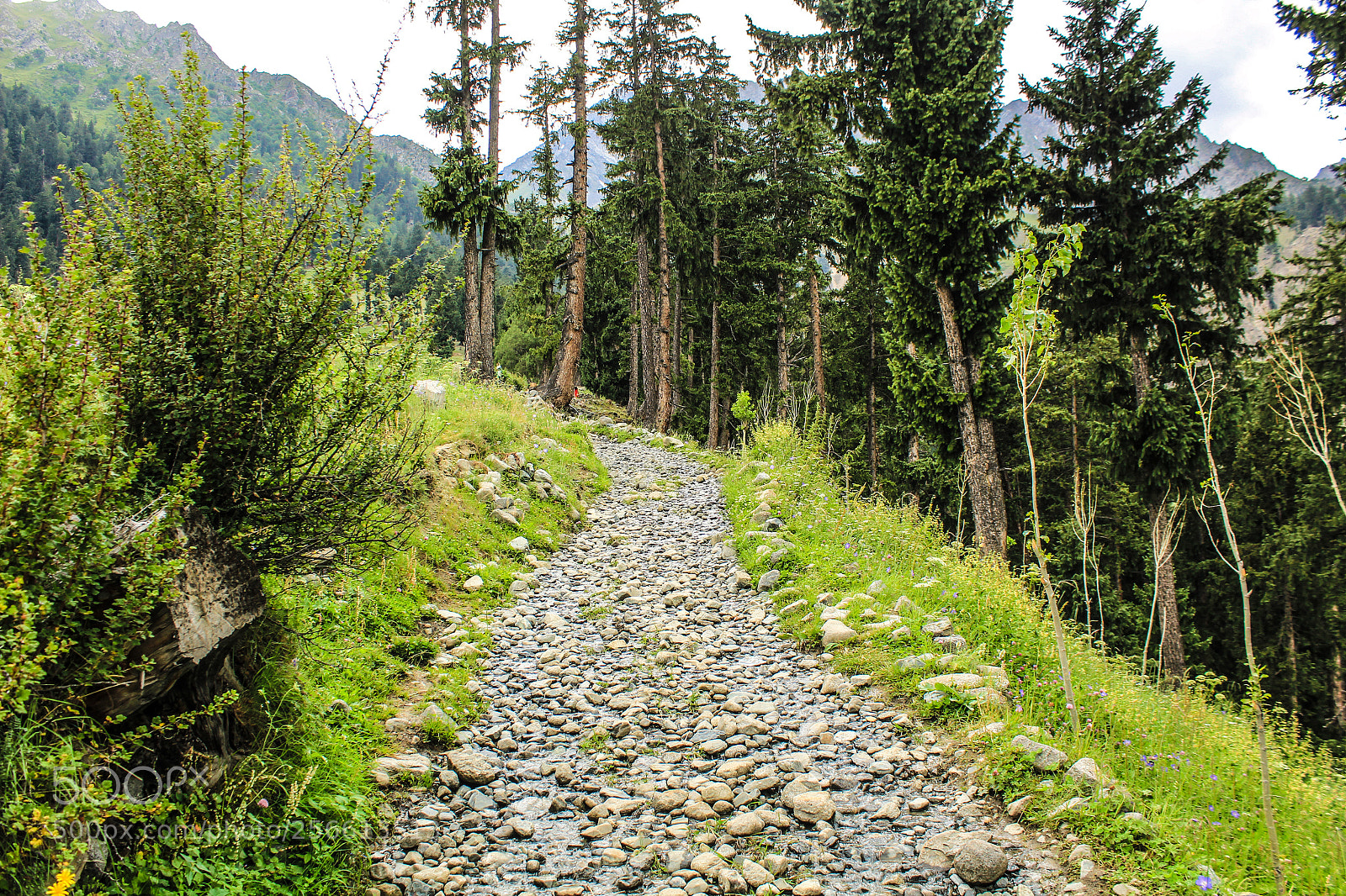 Canon EOS 1200D (EOS Rebel T5 / EOS Kiss X70 / EOS Hi) sample photo. Rocky track photography