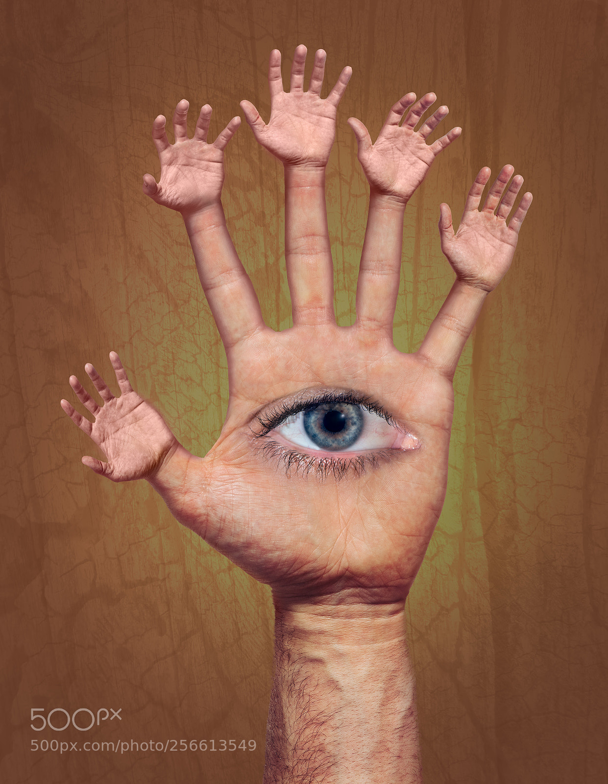 Nikon D850 sample photo. Eye in fractal hand photography