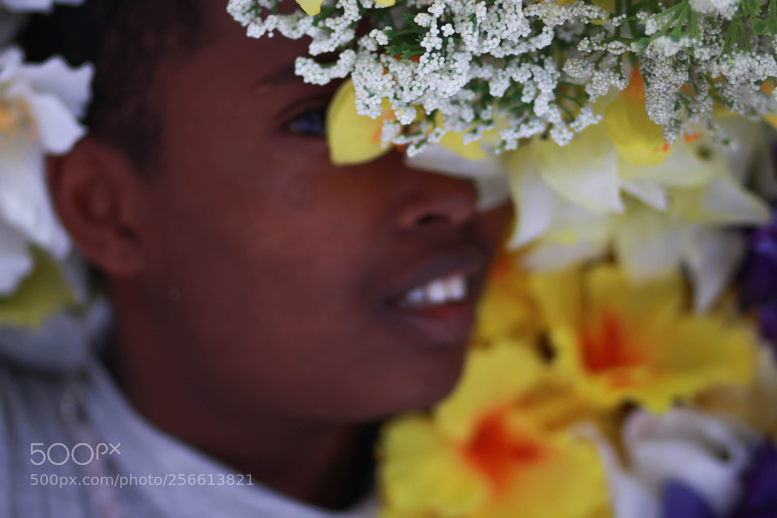 Canon EOS 700D (EOS Rebel T5i / EOS Kiss X7i) sample photo. Beautiful beyond photography