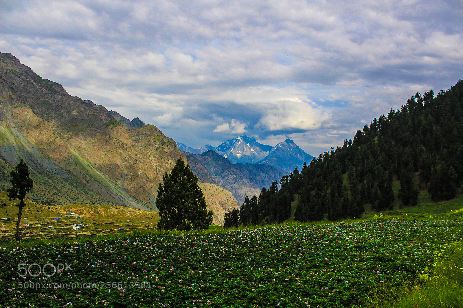Canon EOS 1200D (EOS Rebel T5 / EOS Kiss X70 / EOS Hi) sample photo. Beautiful mountains photography