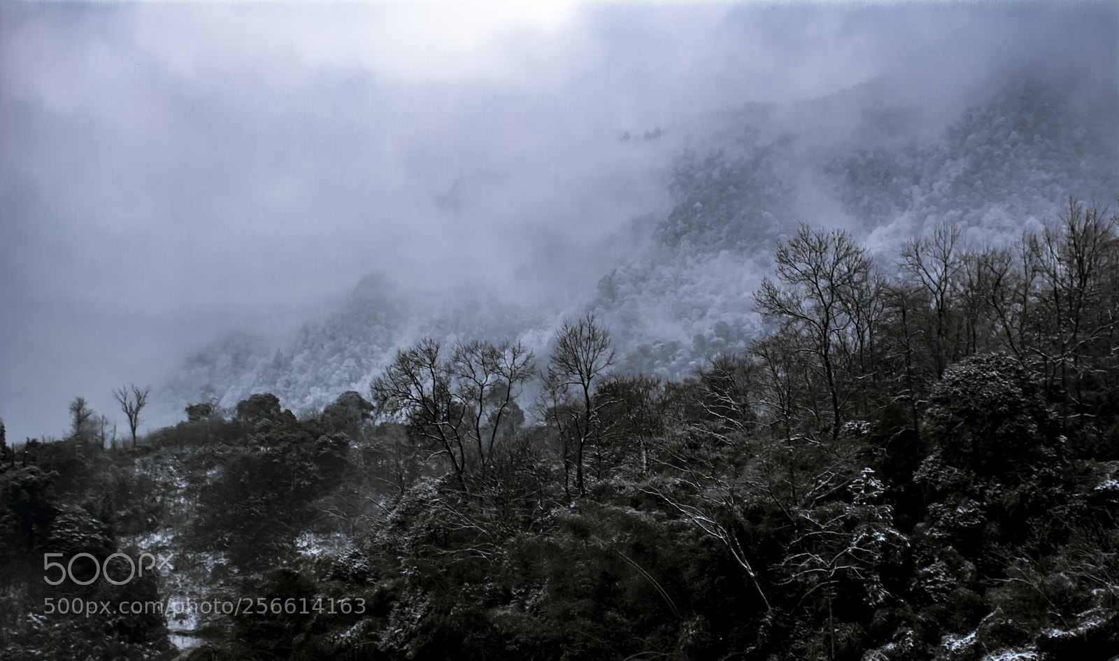 Nikon D5200 sample photo. Landscapes in g5 jinkun photography