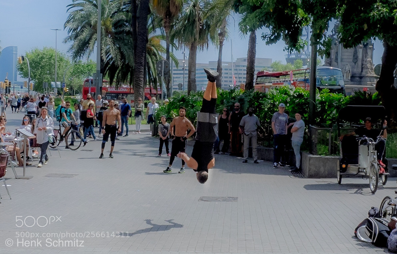 Olympus OM-D E-M1 sample photo. Upside down photography