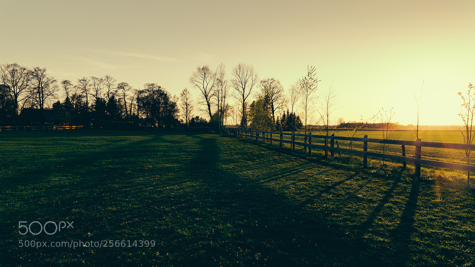 Canon EOS 6D sample photo. Evening light photography