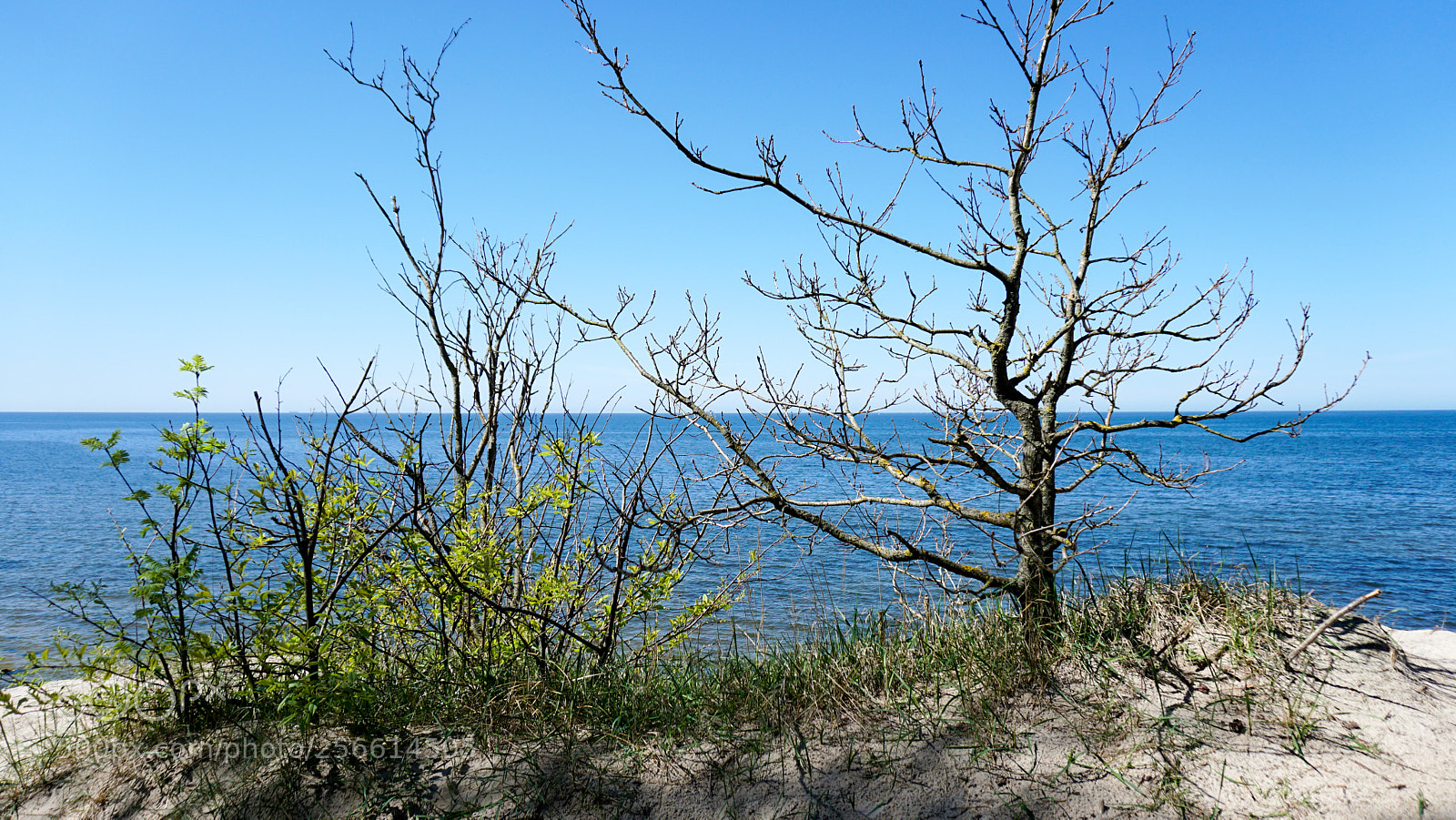 Sony a6300 sample photo. Dsc photography