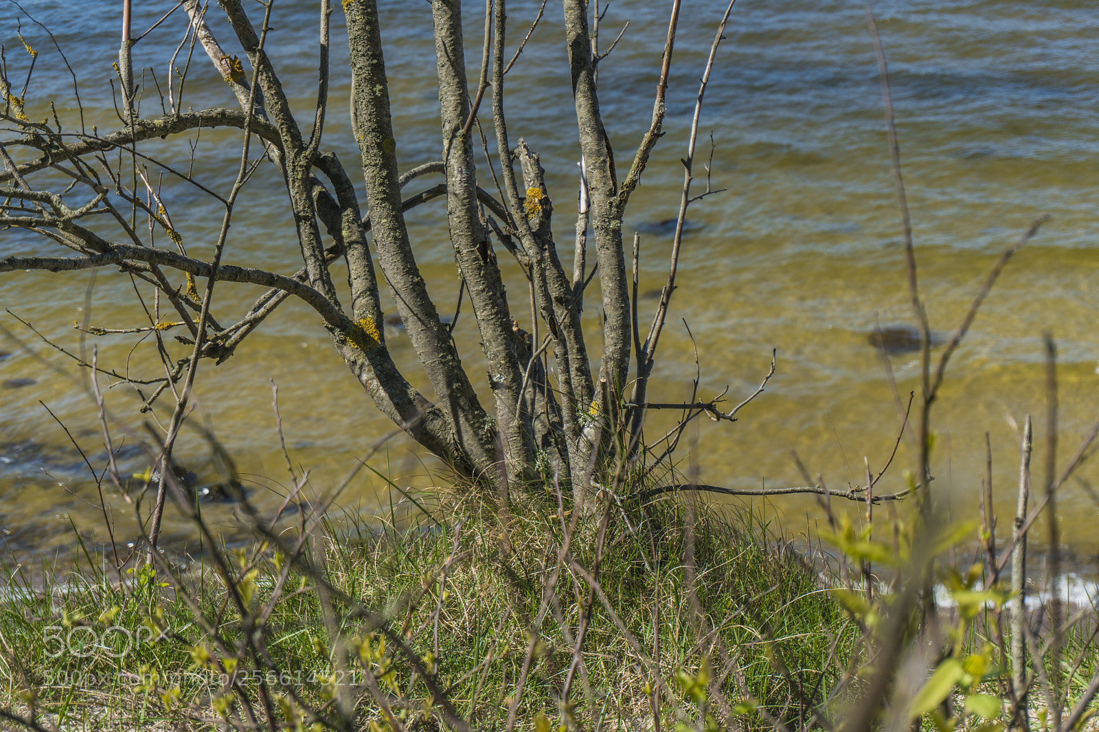 Sony a6300 sample photo. Dsc photography
