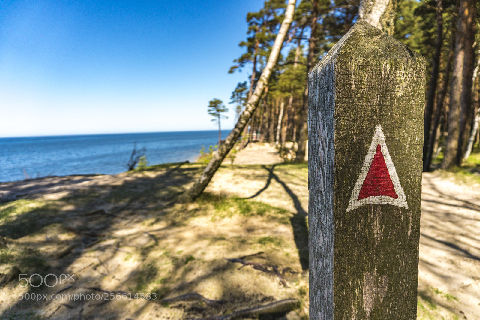 Sony a6300 sample photo. Dsc photography