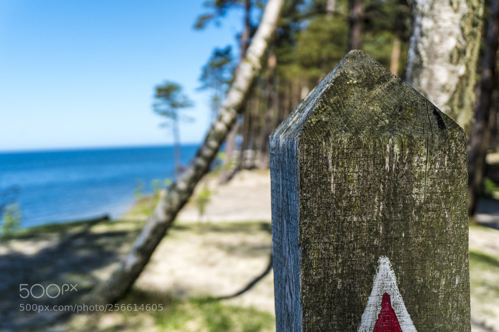 Sony a6300 sample photo. Dsc photography