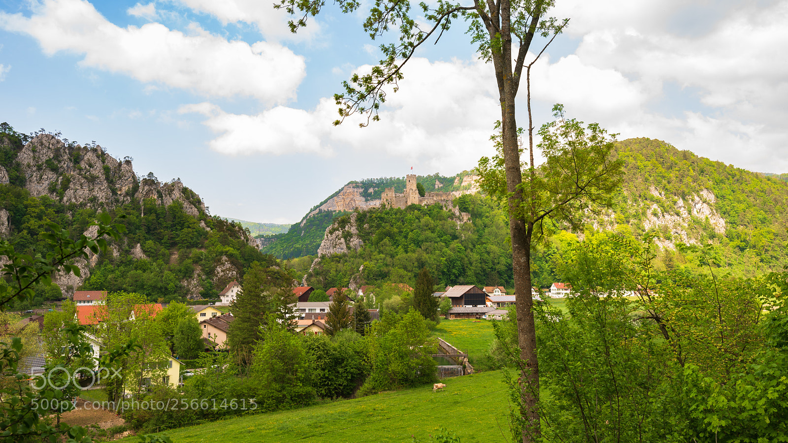 Nikon D610 sample photo. Basel land photography
