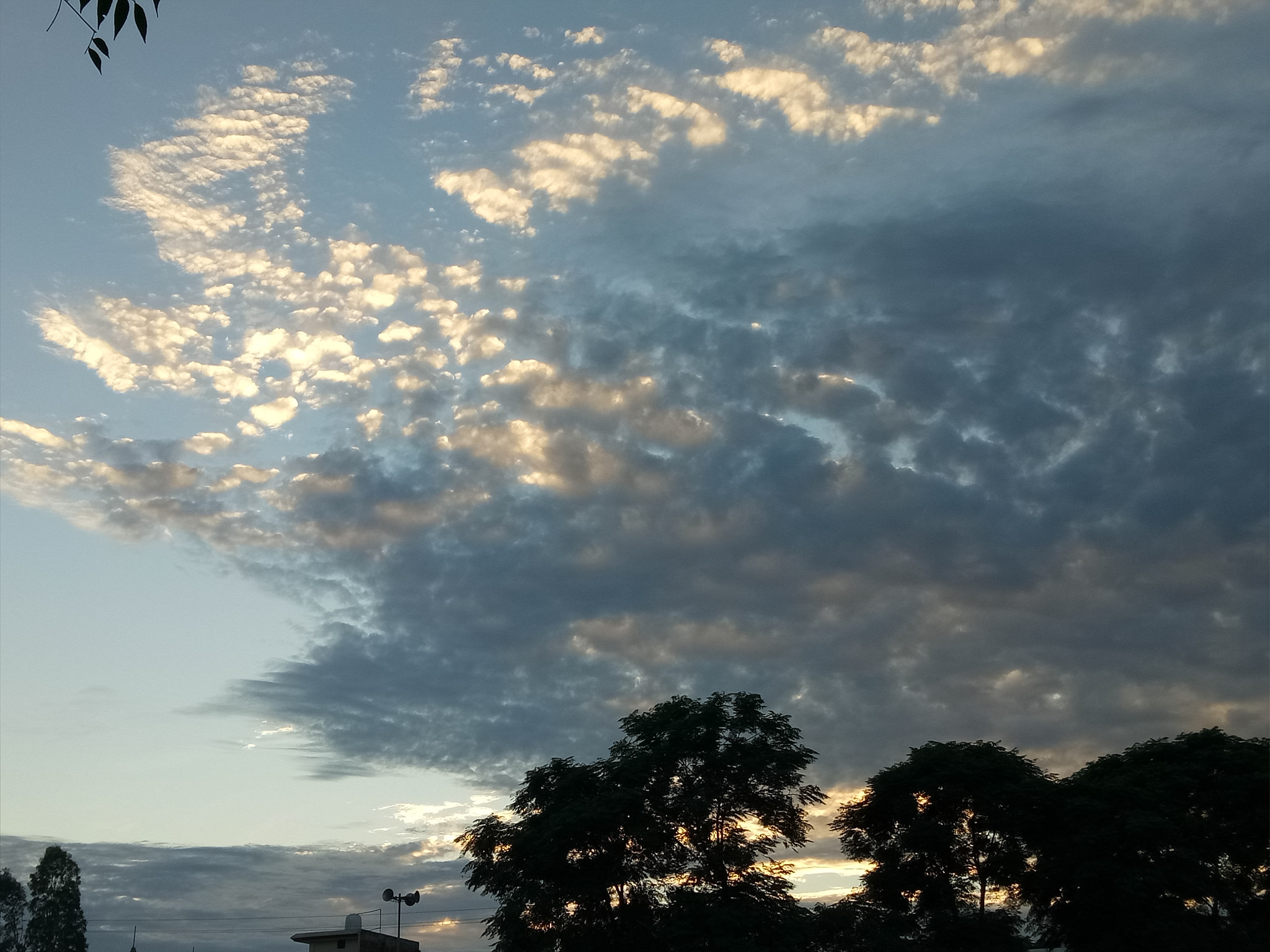 OPPO A1601 sample photo