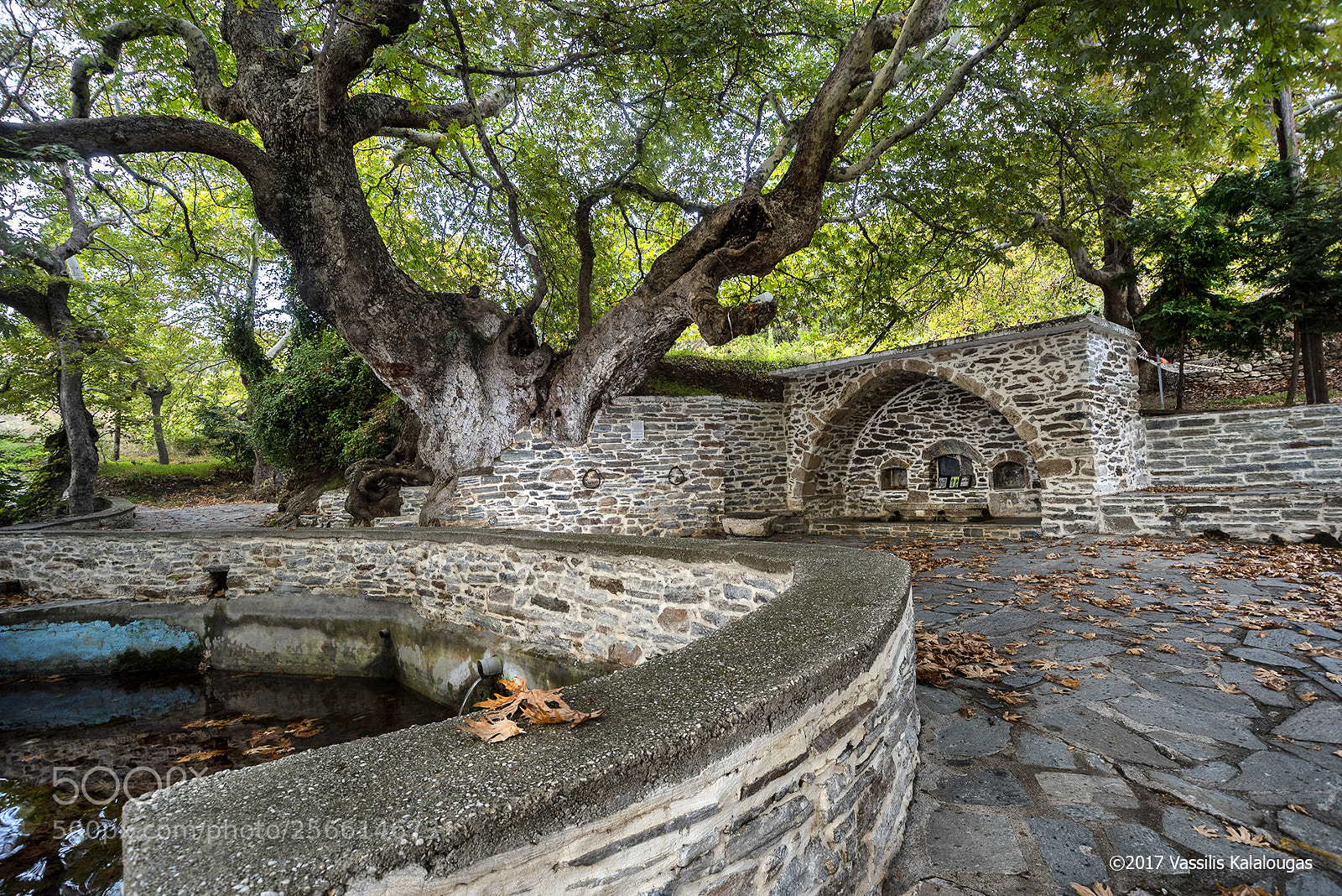 Nikon D750 sample photo. Meg vrisi photography