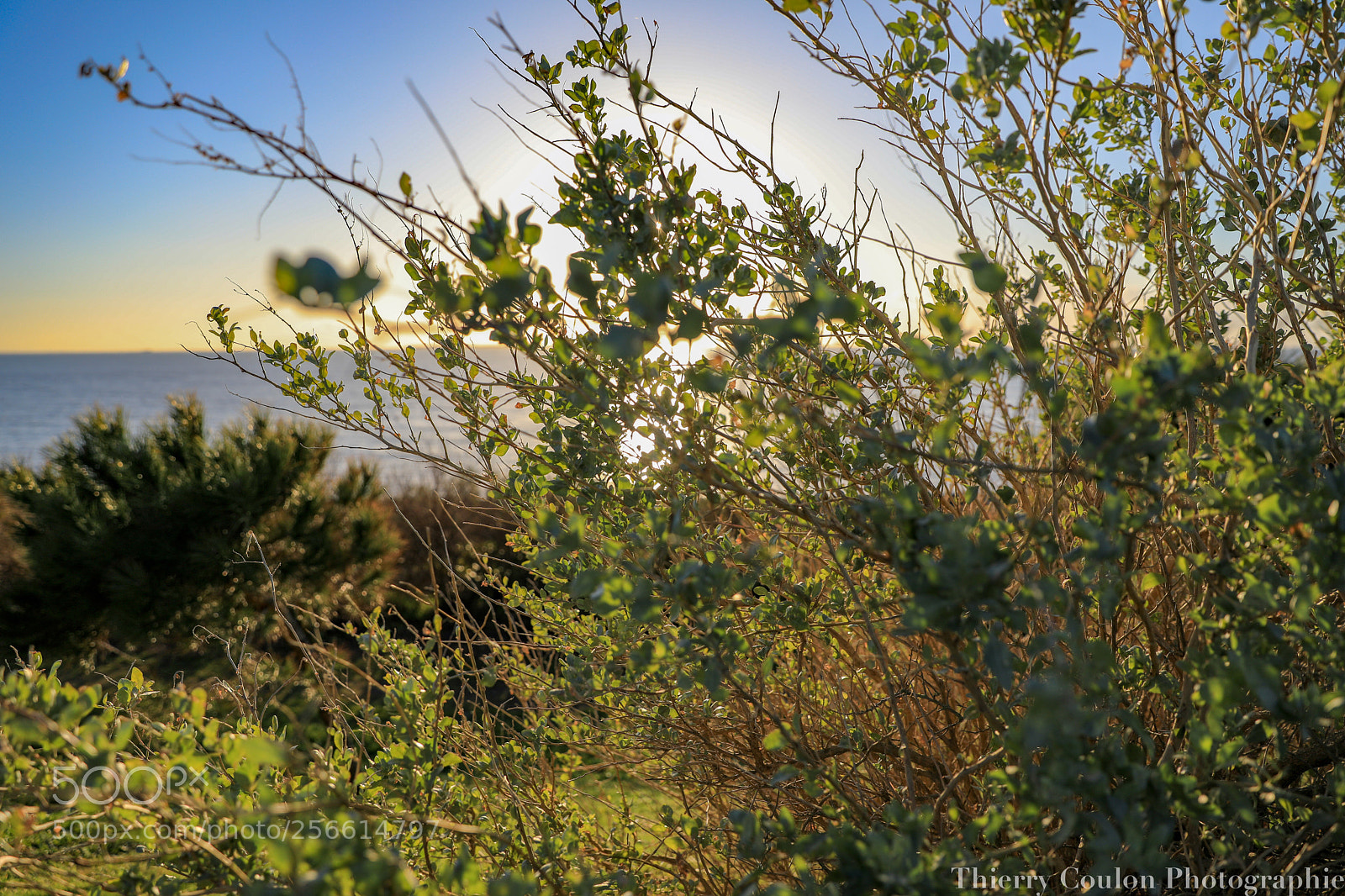 Canon EOS 5D Mark IV sample photo. Mon jardin secret  photography