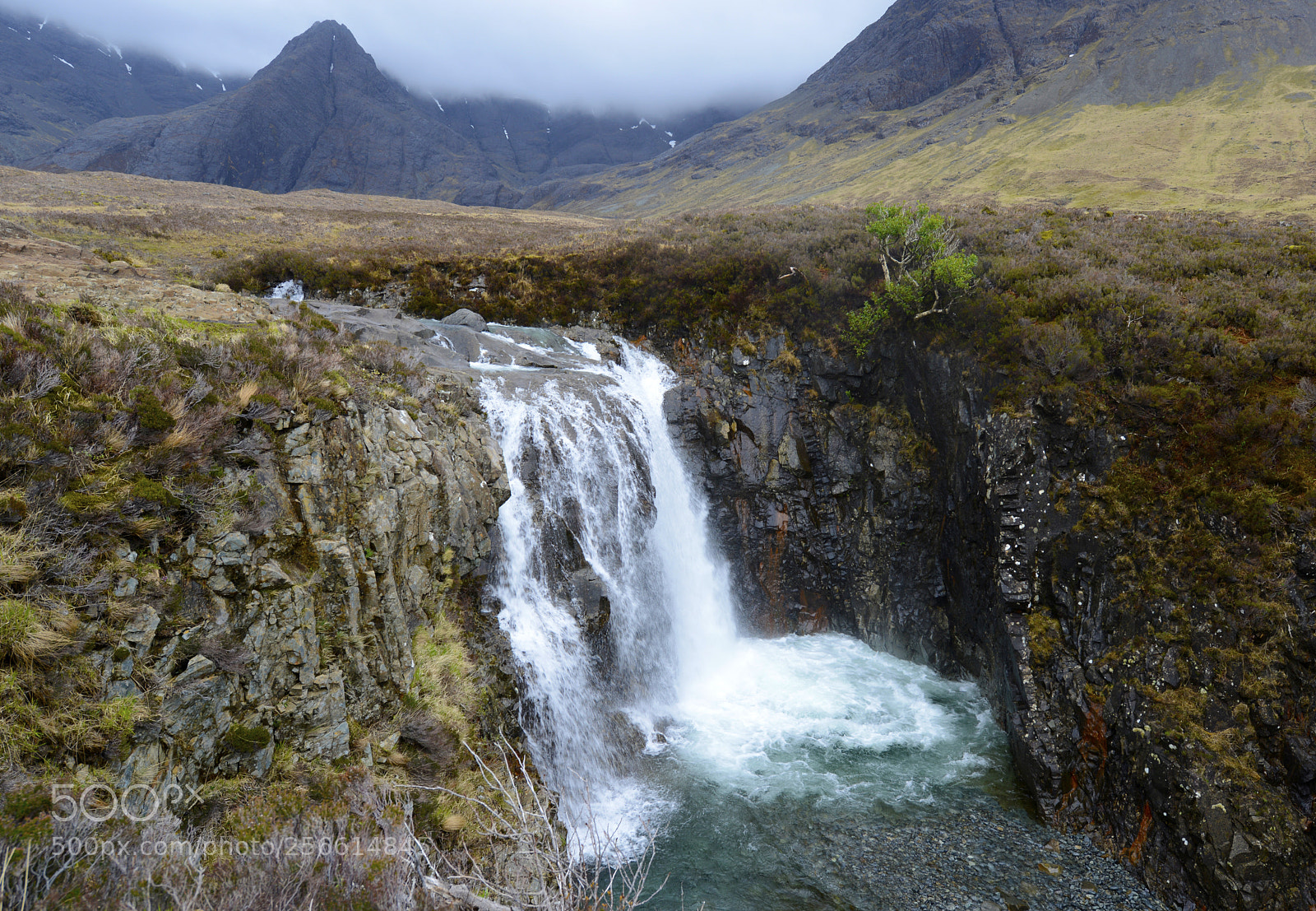 Nikon D800 sample photo. Fairy pool photography