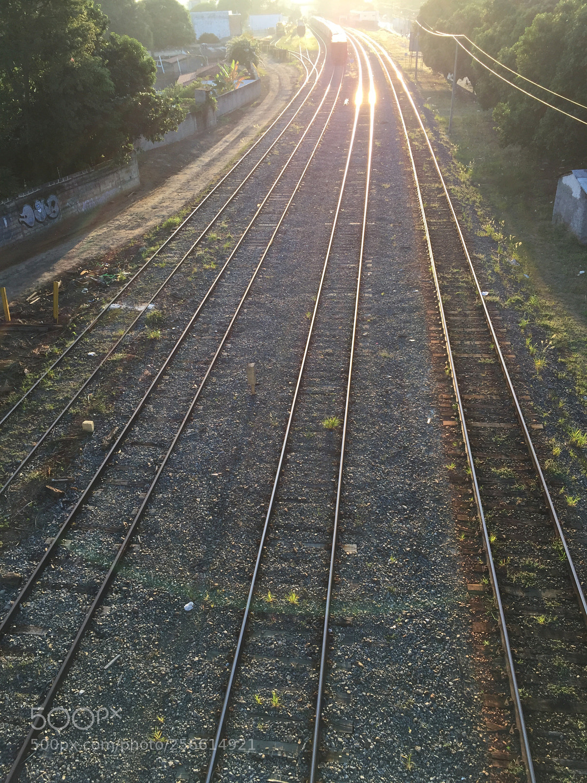 Apple iPhone 6 sample photo. Untitled photography