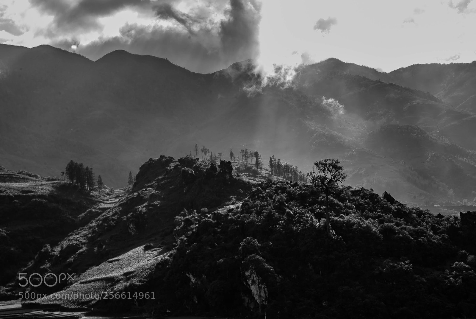 Nikon D80 sample photo. Them hills are alive photography