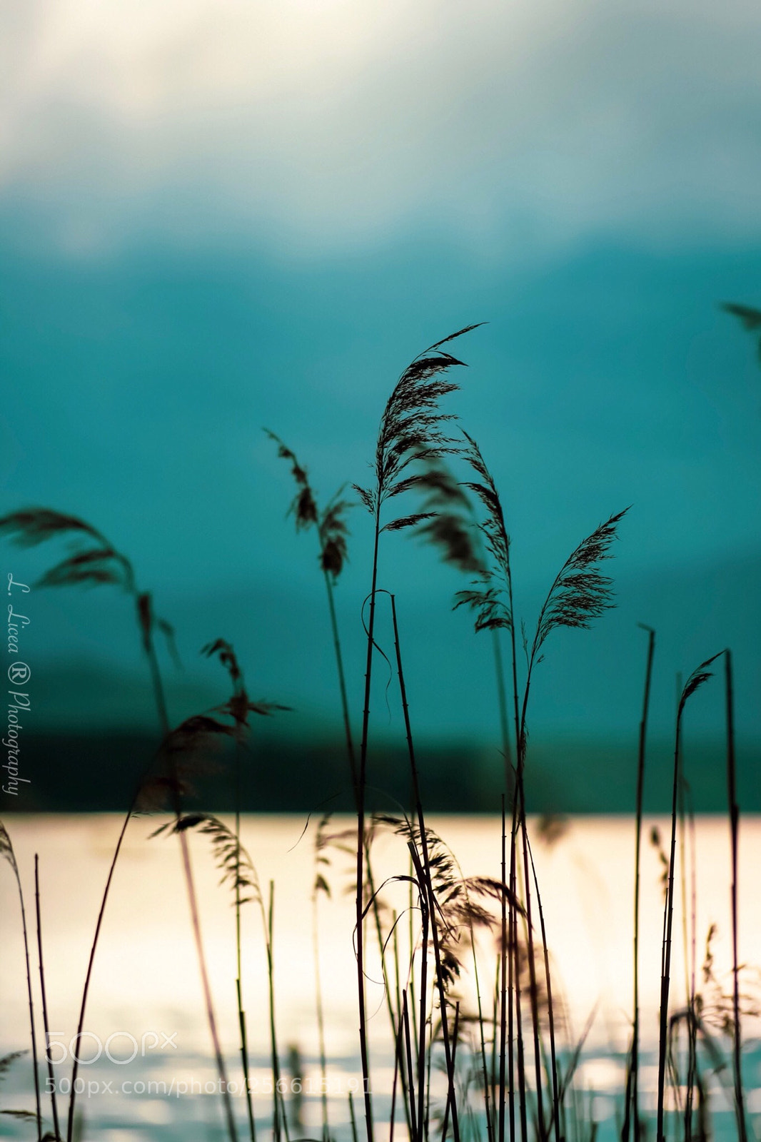 Canon EOS 6D Mark II sample photo. At horizon 119 photography