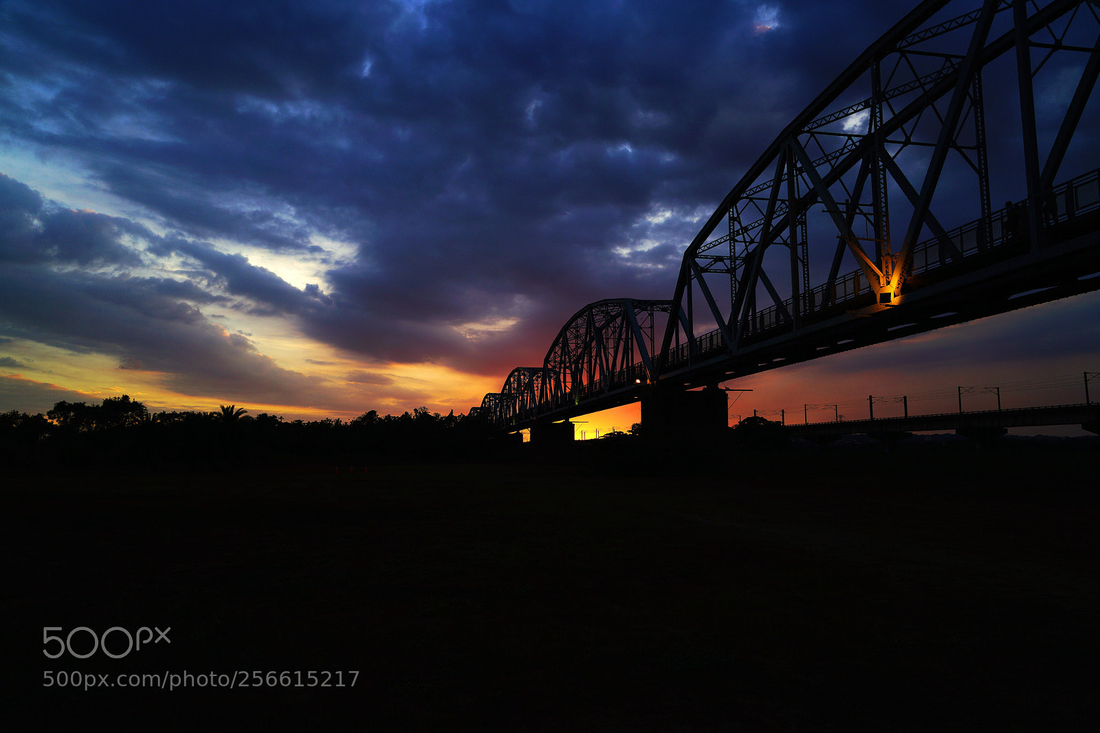 Sony a7R II sample photo. Untitled photography