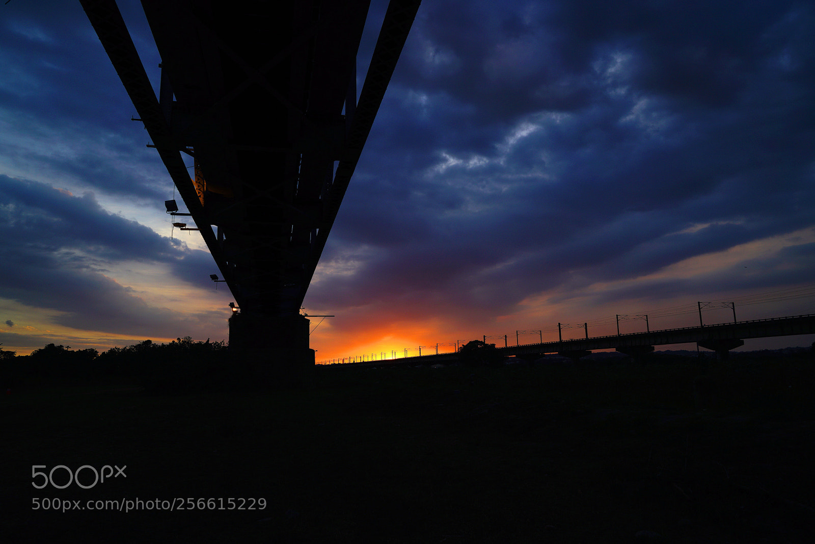 Sony a7R II sample photo. Untitled photography