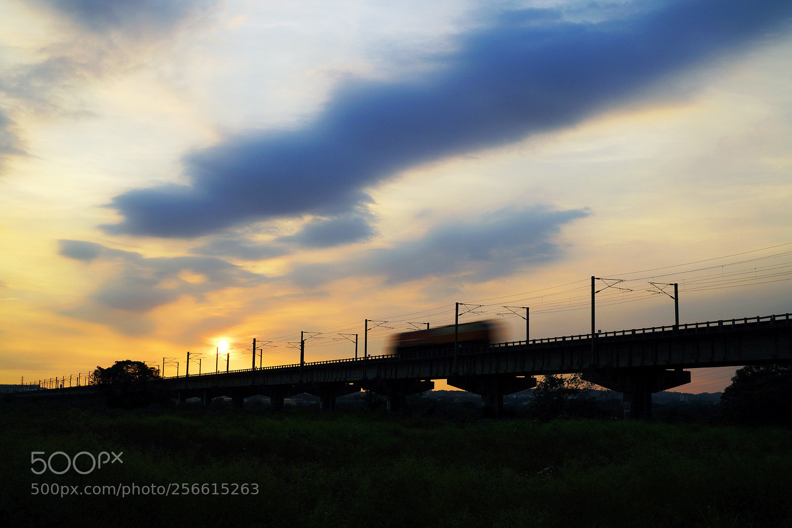 Sony a7R II sample photo. Untitled photography